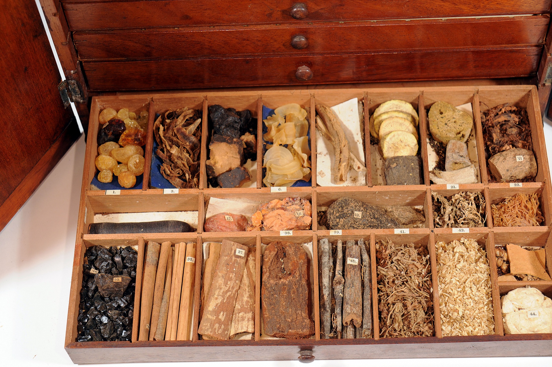 Magnified image for image #5