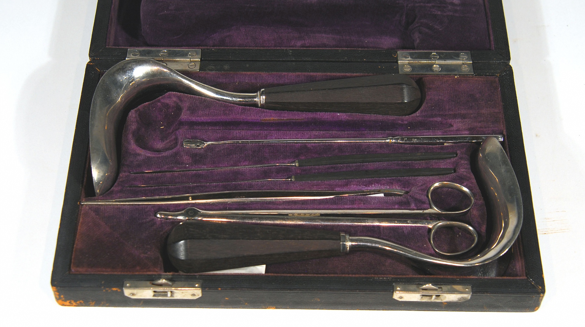 Magnified image for image #1