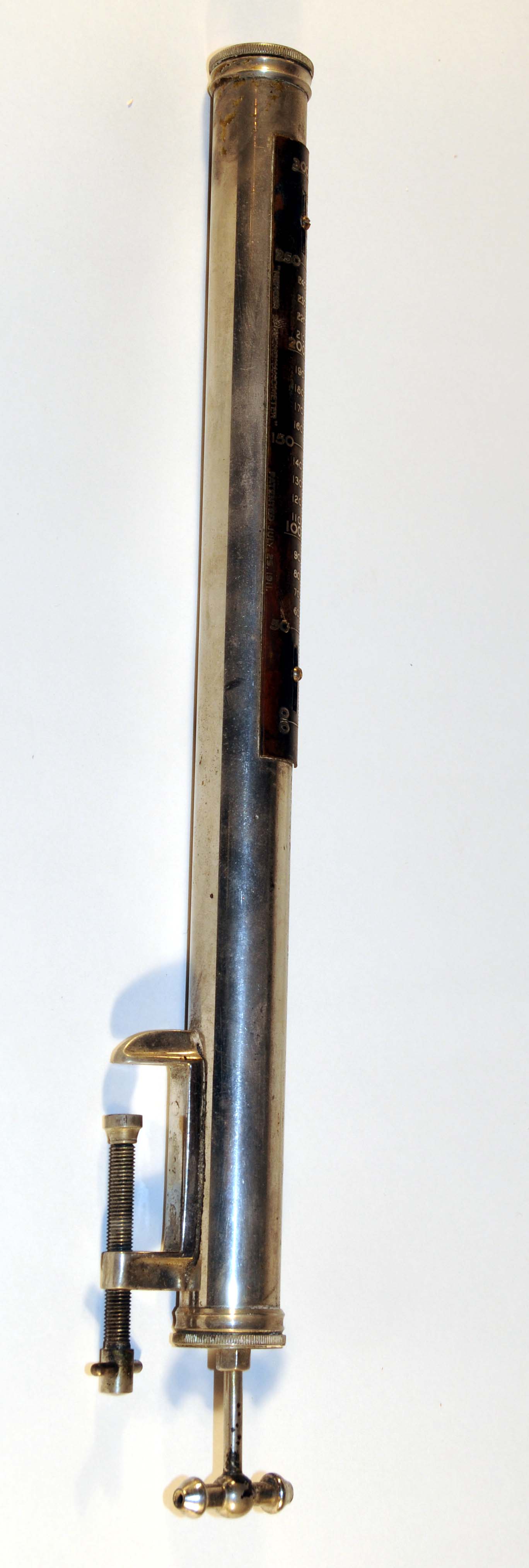 Magnified image for image #1