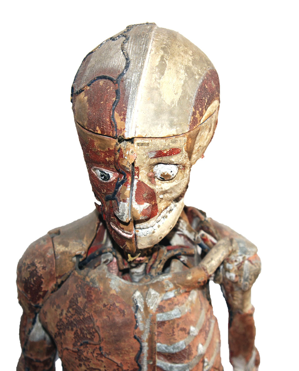 Magnified image for image #3