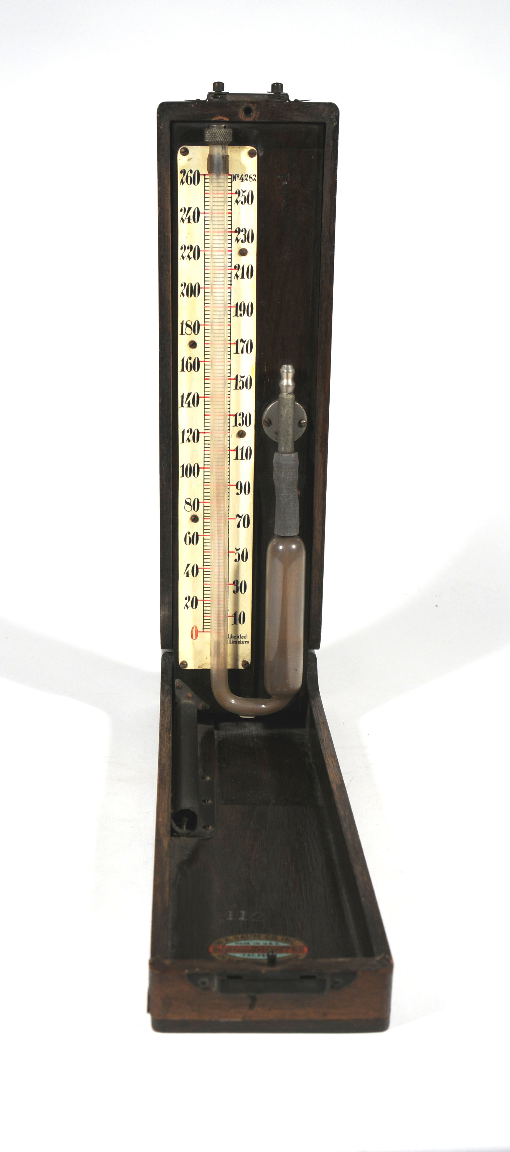 Magnified image for image #1