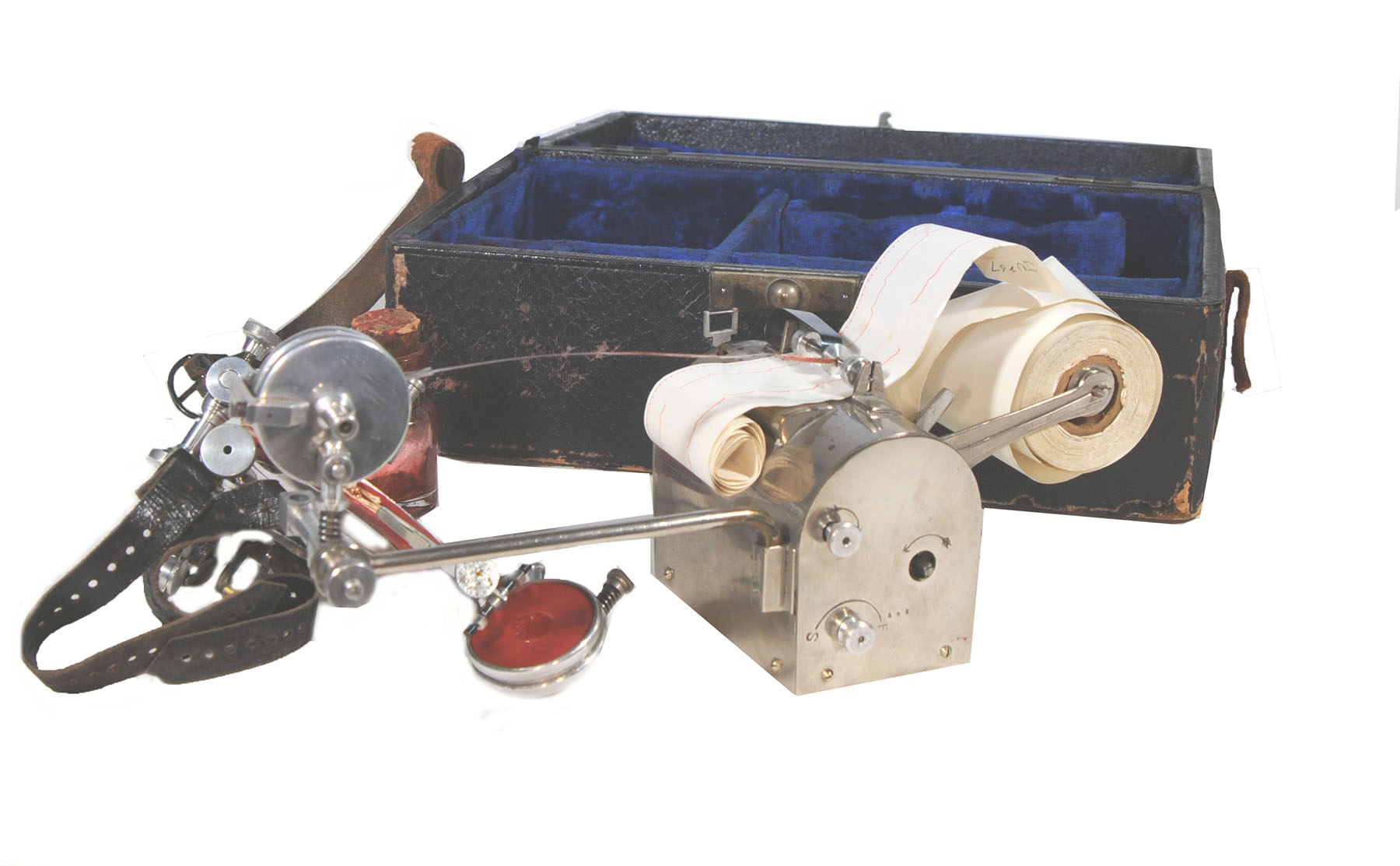 Magnified image for image #1