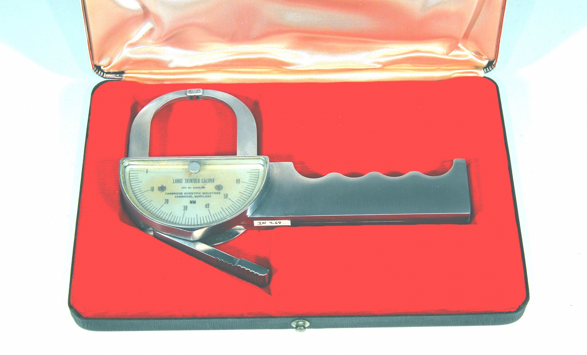 Magnified image for image #1