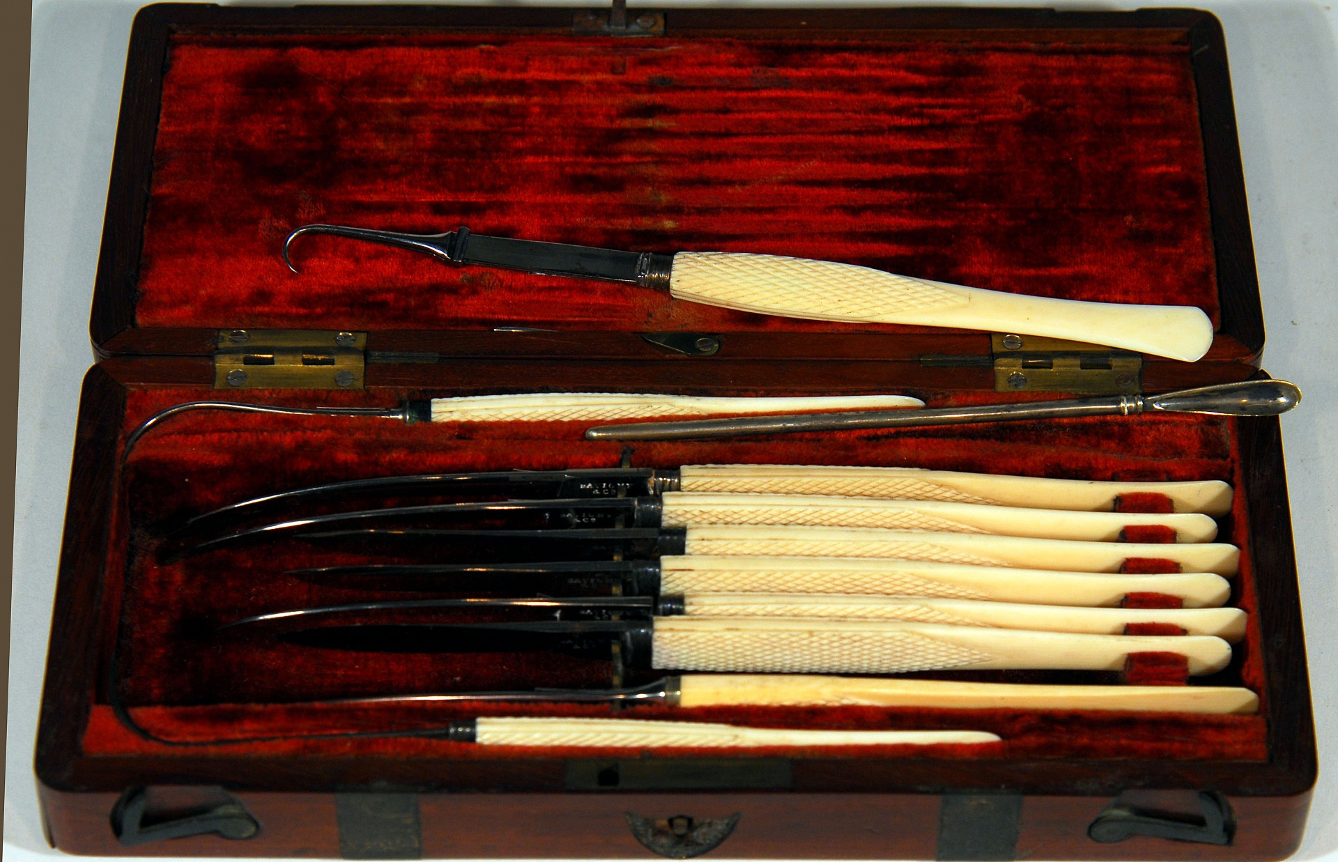 Magnified image for image #1