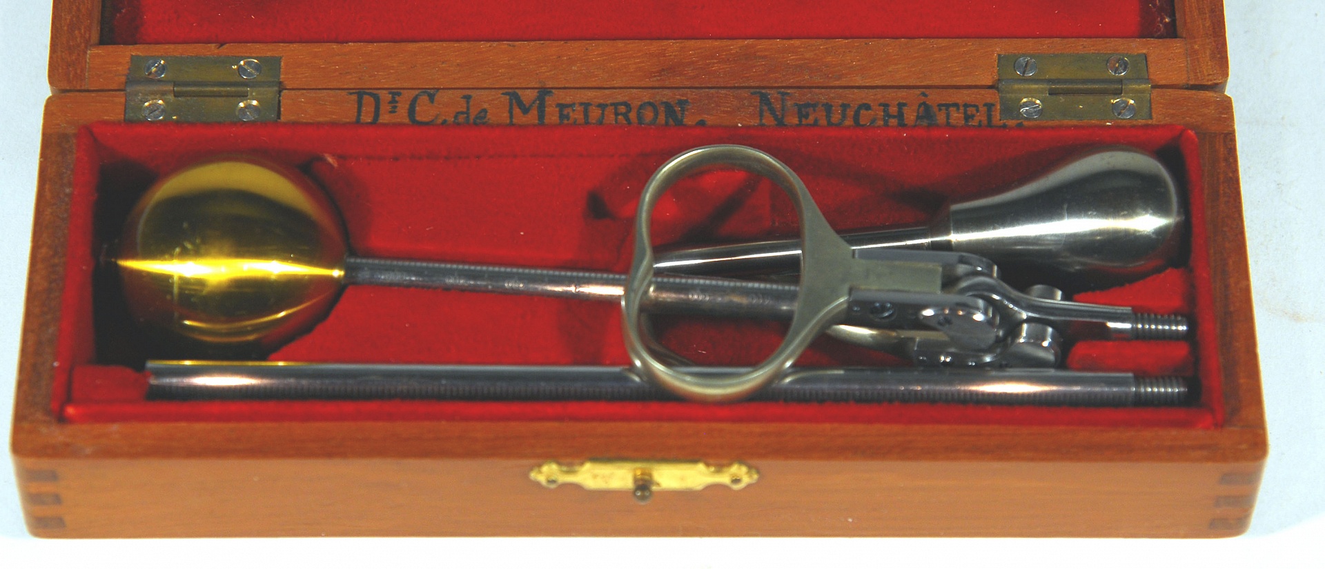 Magnified image for image #1