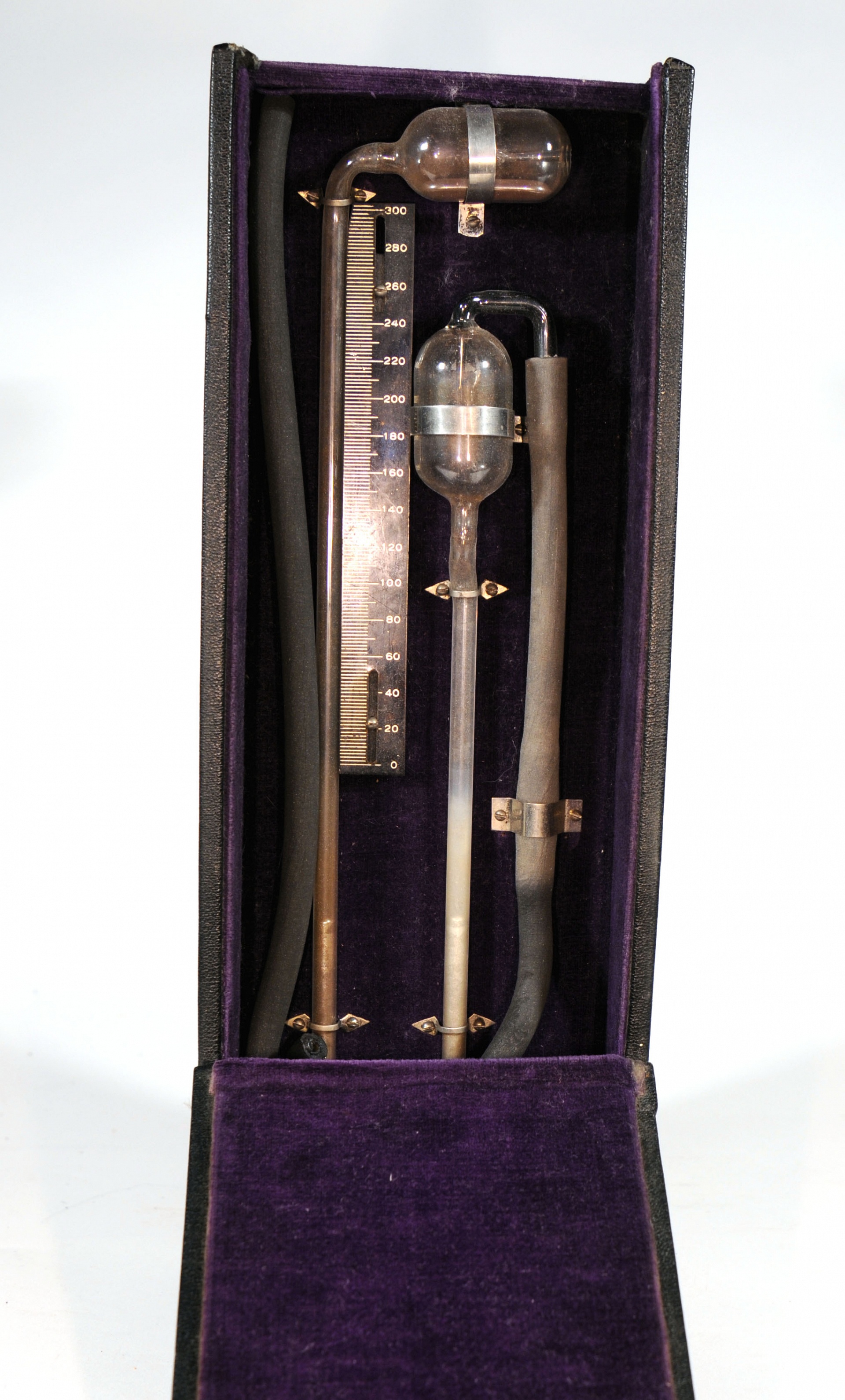 Magnified image for image #1