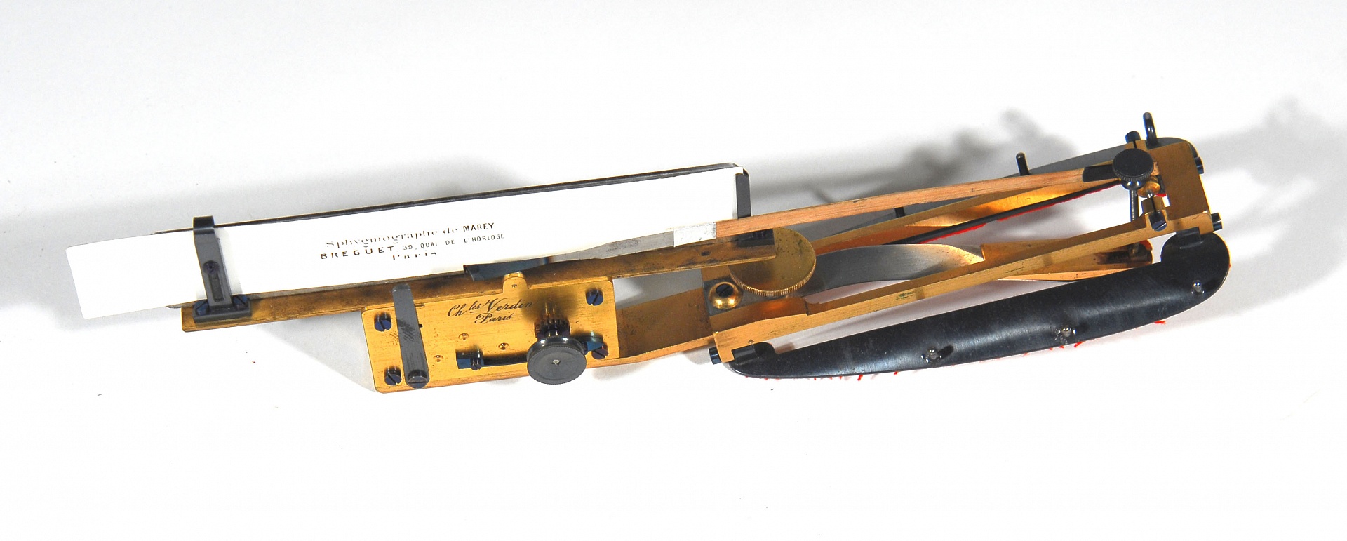 Magnified image for image #1