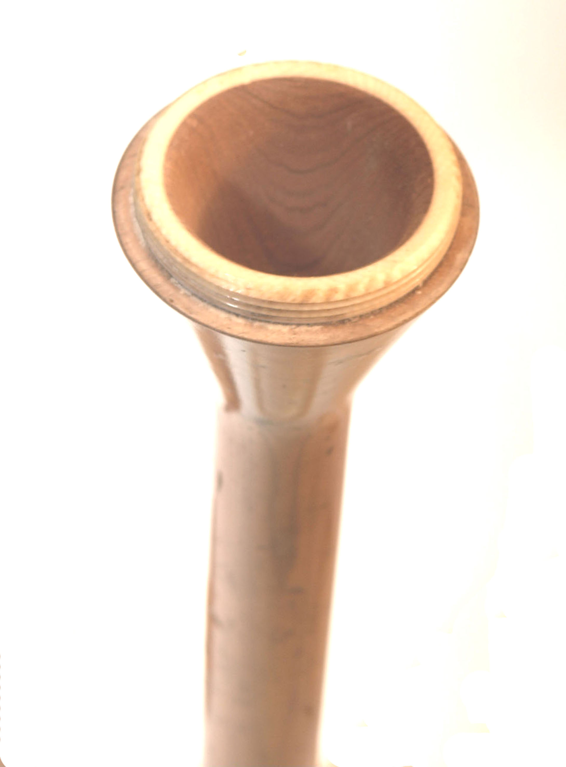 Magnified image for image #1