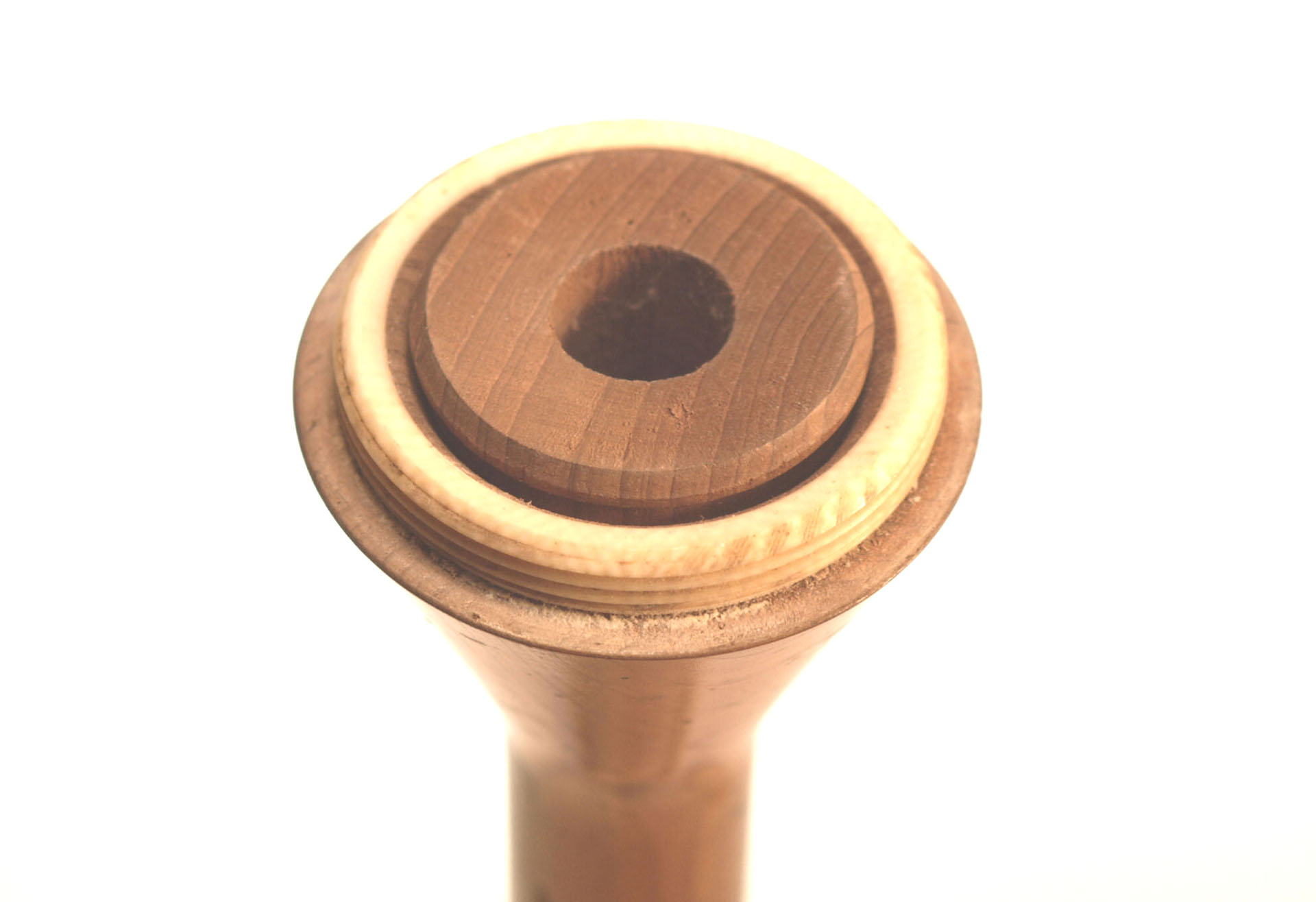 Magnified image for image #2