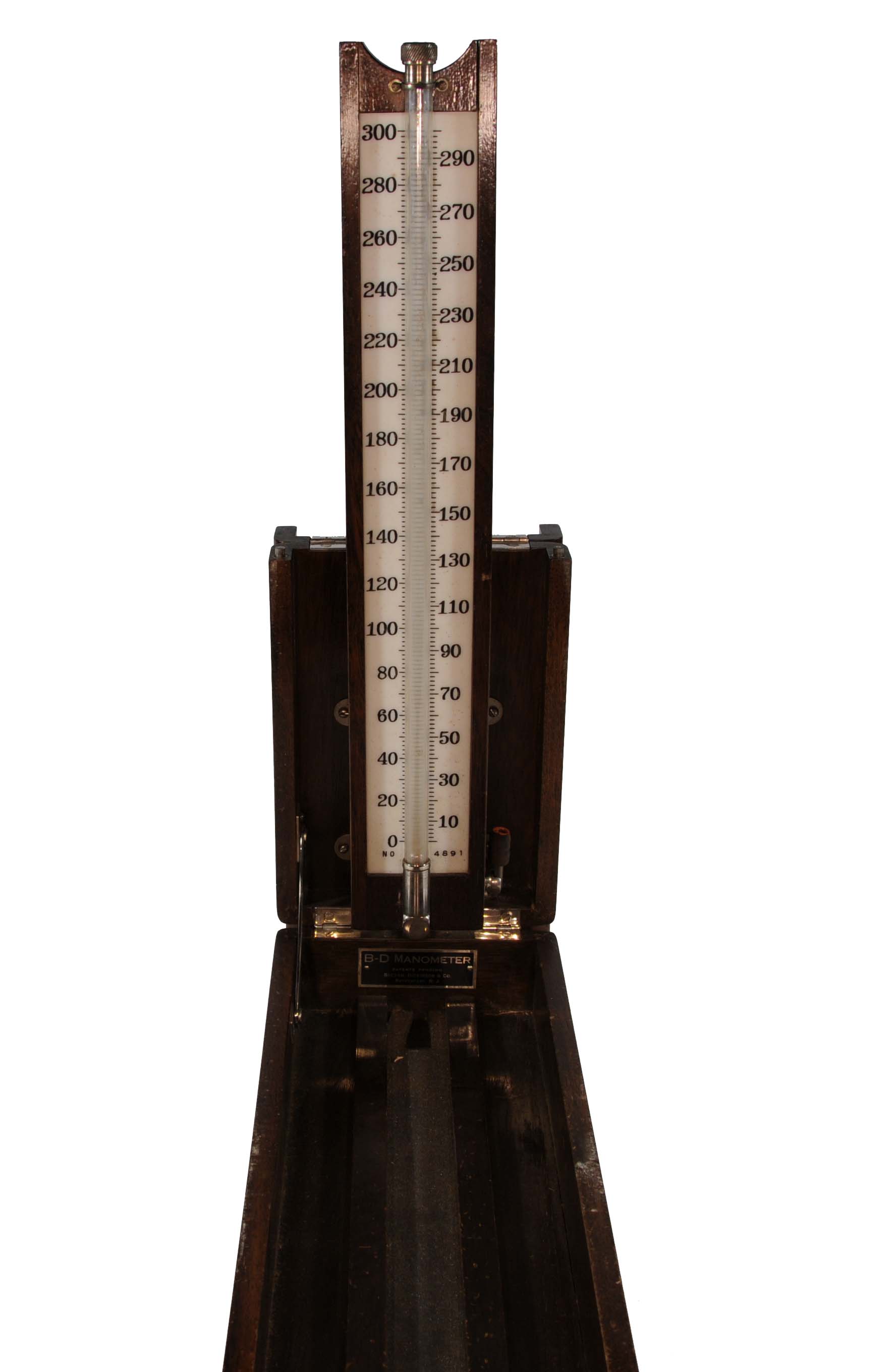 Magnified image for image #1