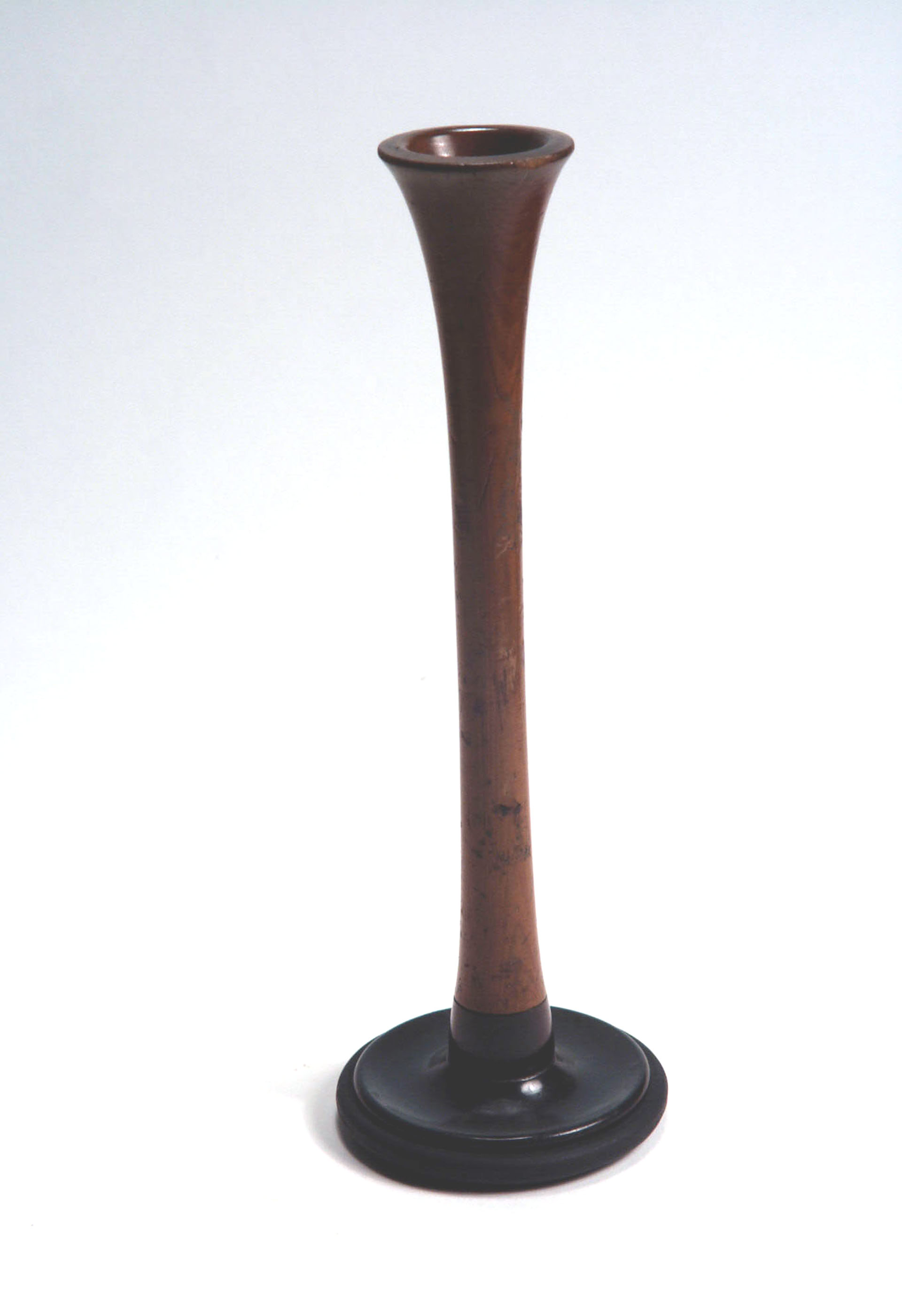 Magnified image for image #1