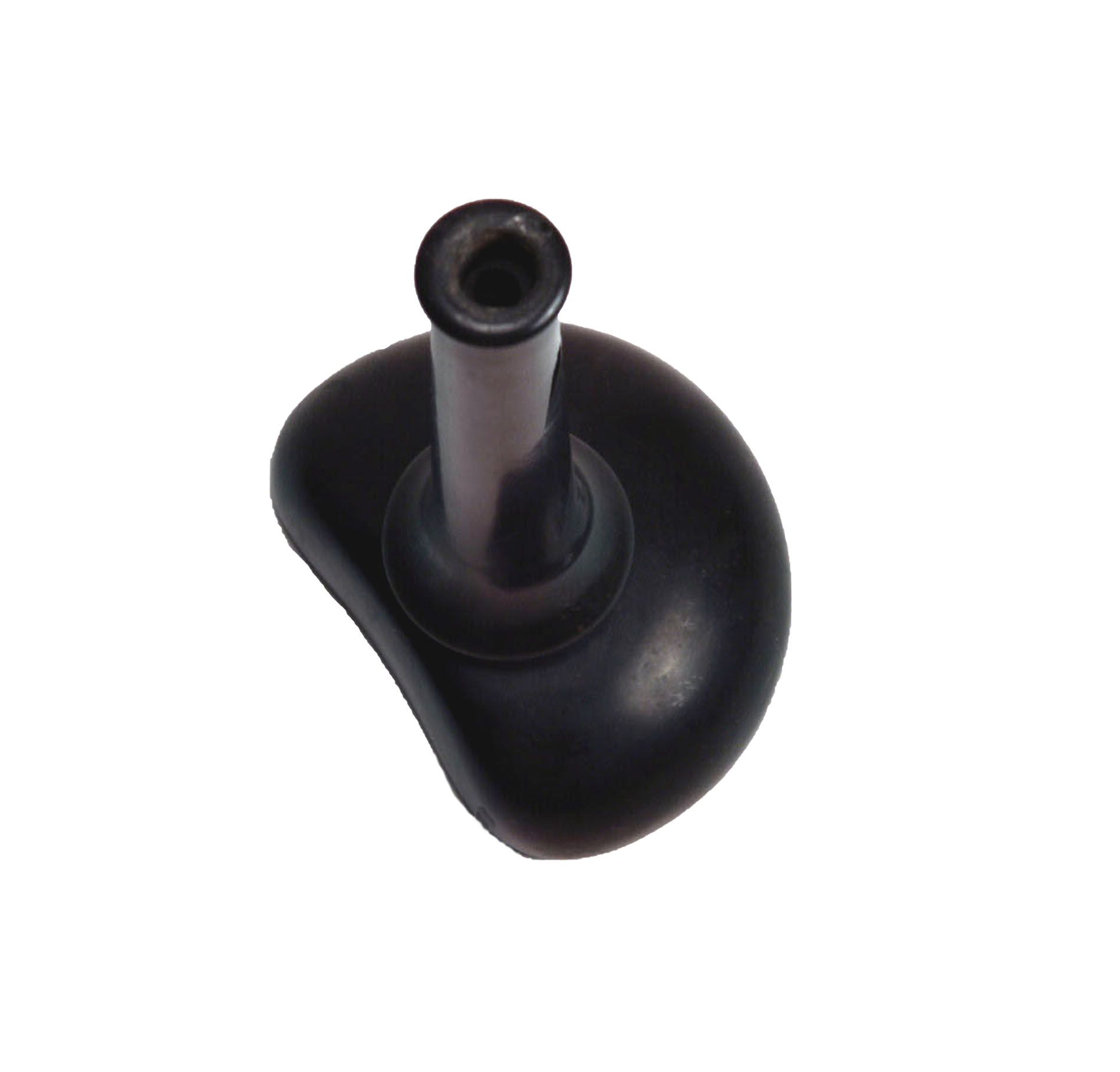 Magnified image for image #1