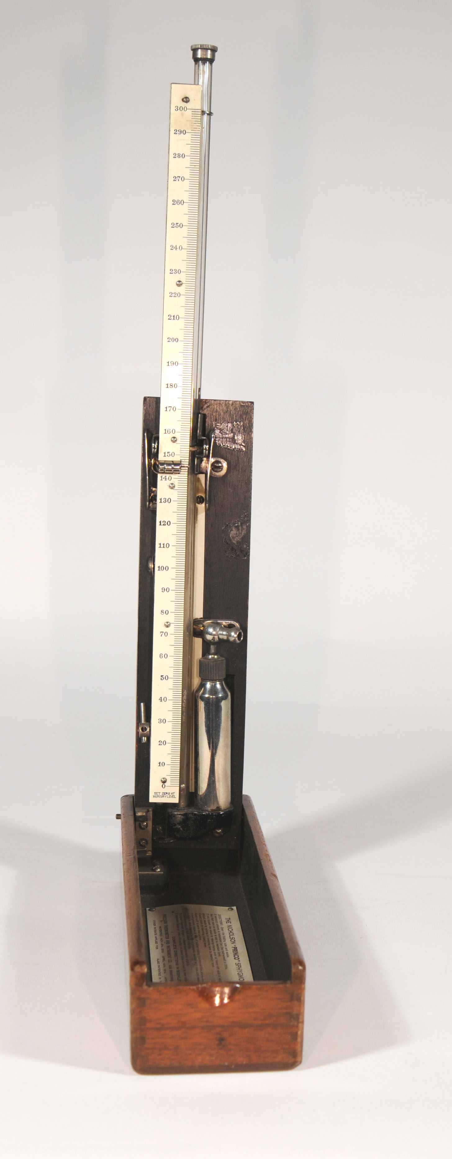 Magnified image for image #1