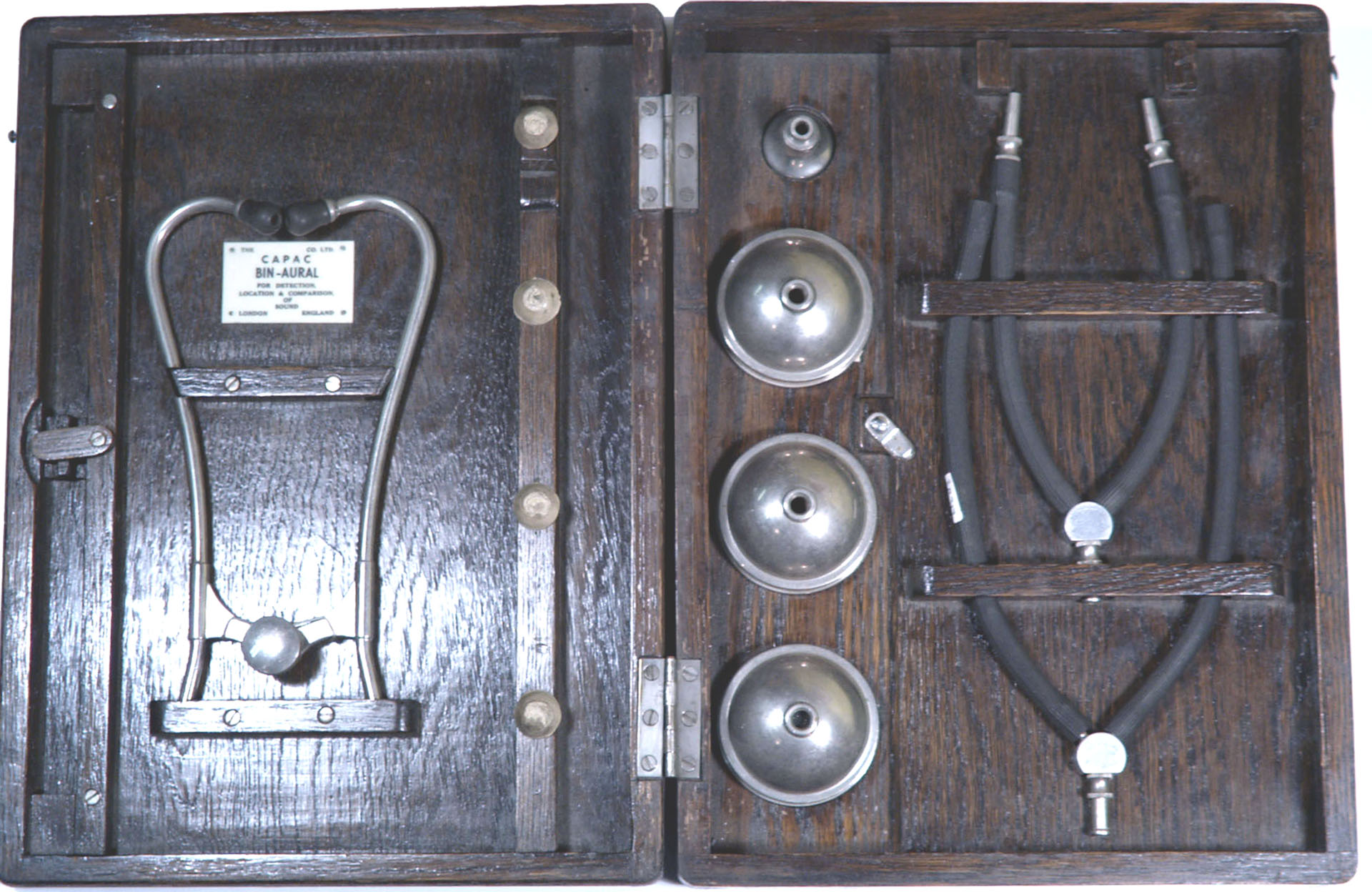 Magnified image for image #1