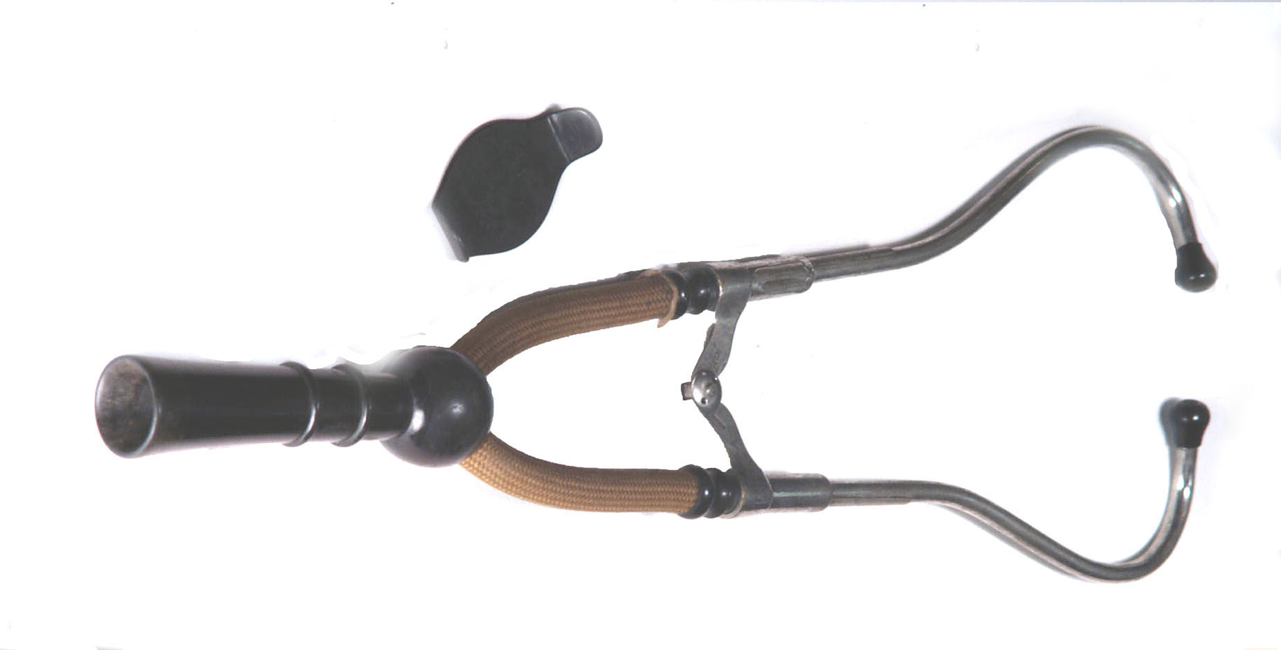 Magnified image for image #1