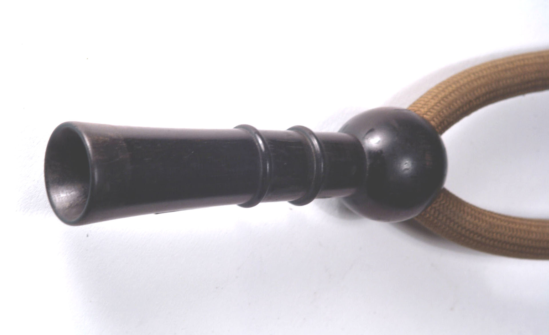 Magnified image for image #4