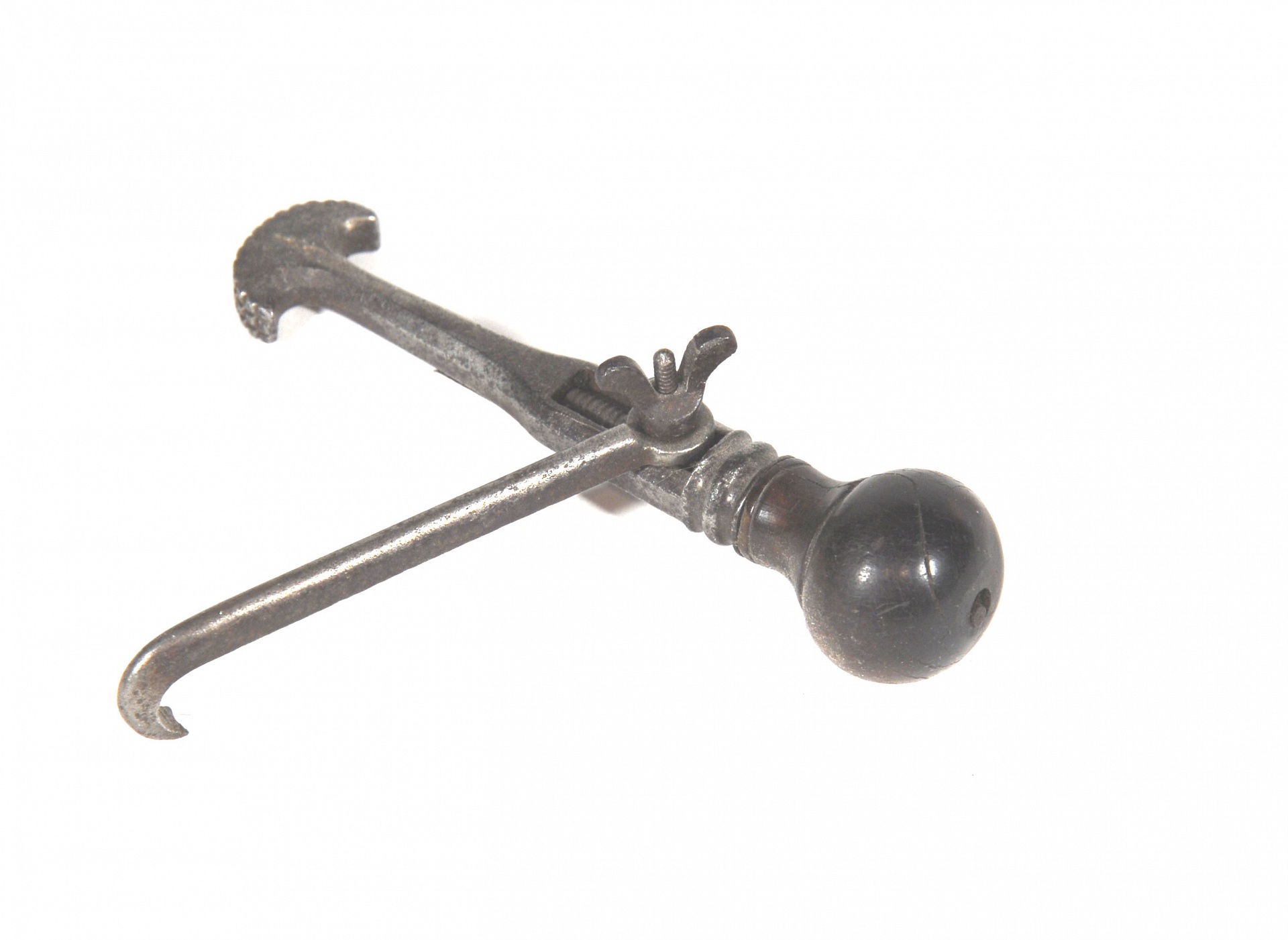 Magnified image for image #1