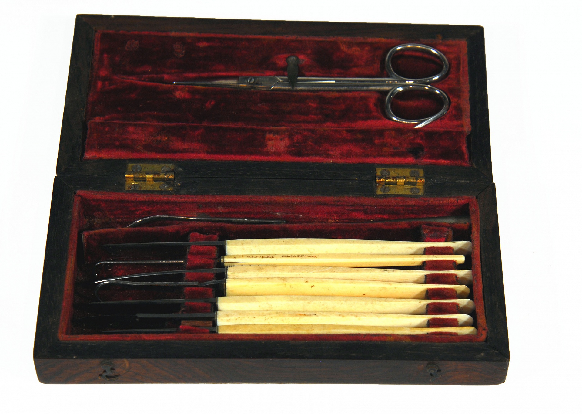 Magnified image for image #1