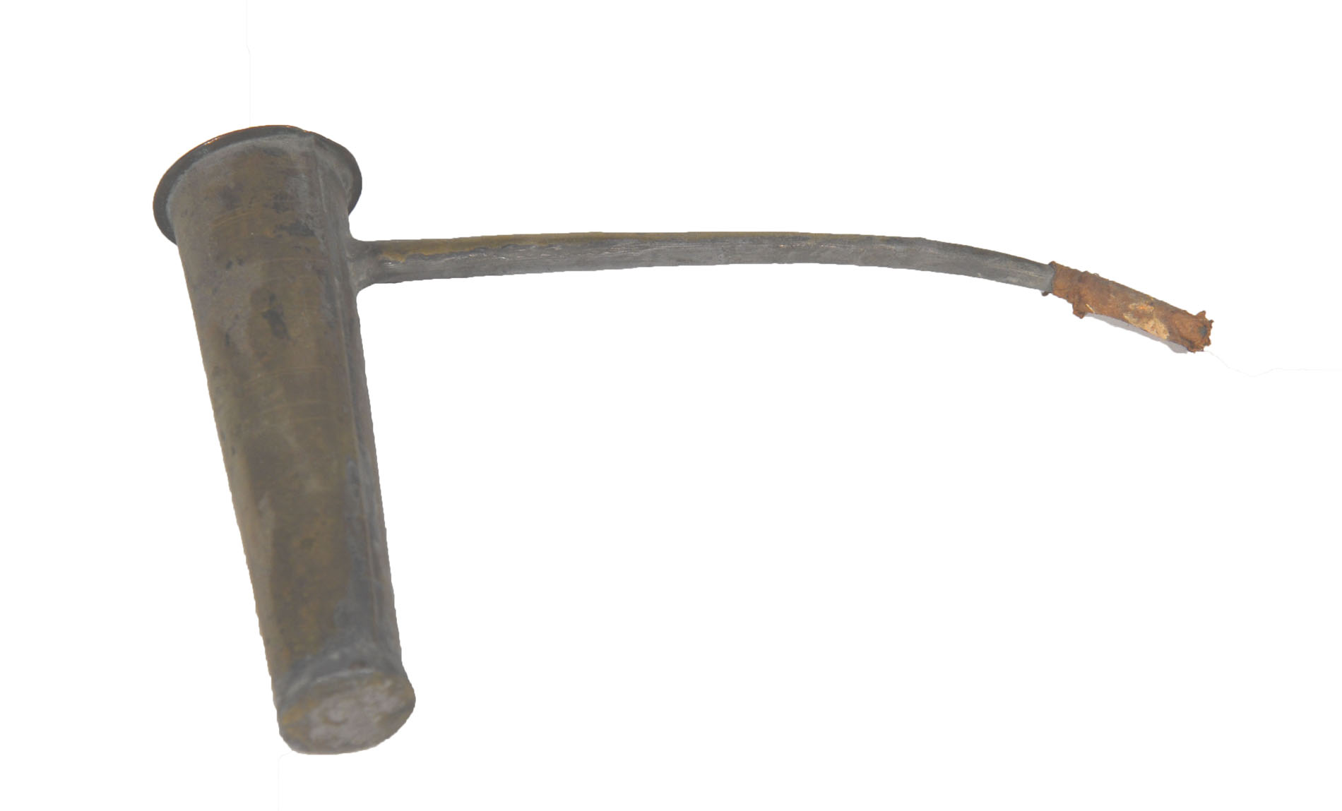 Magnified image for image #1