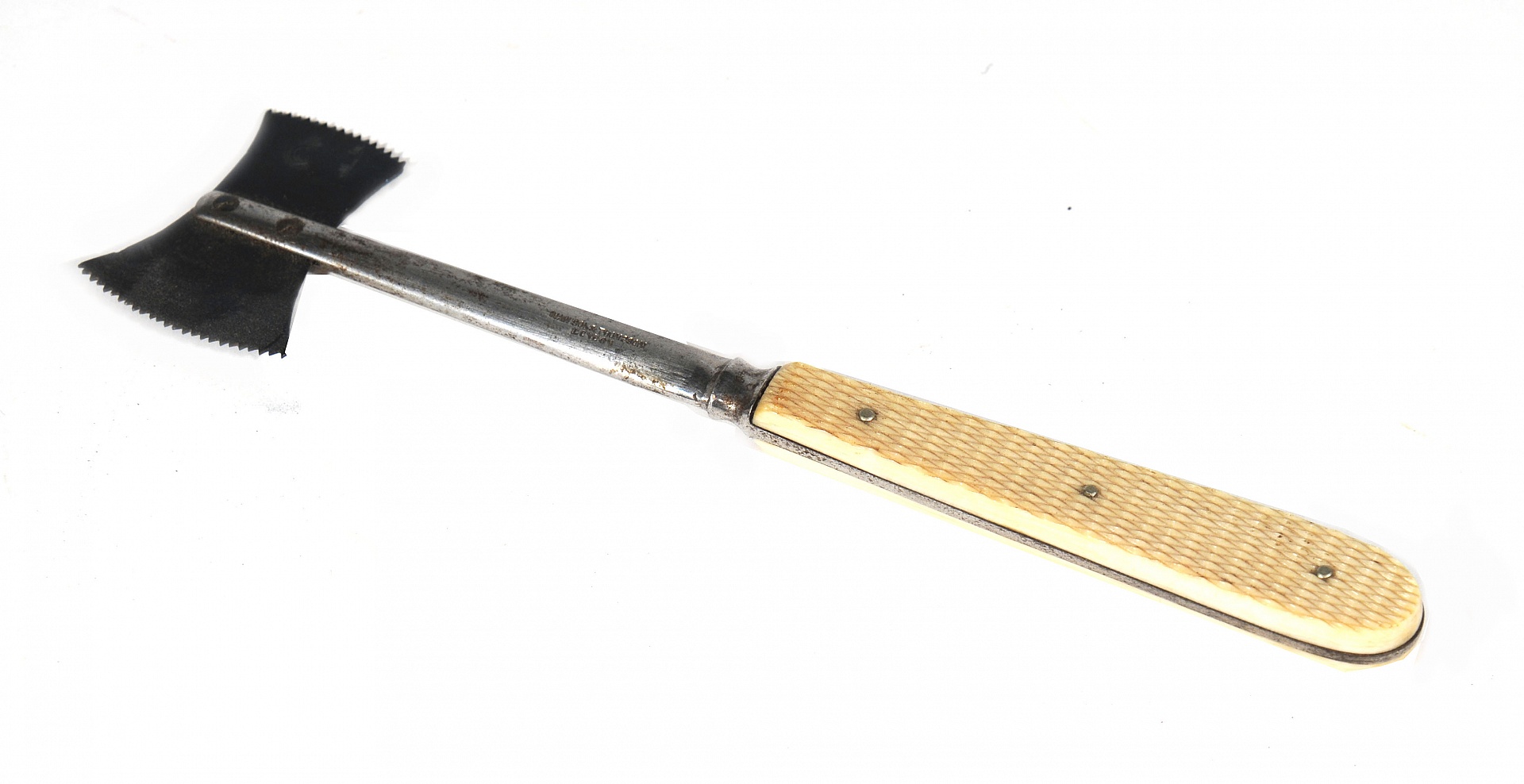 Magnified image for image #1