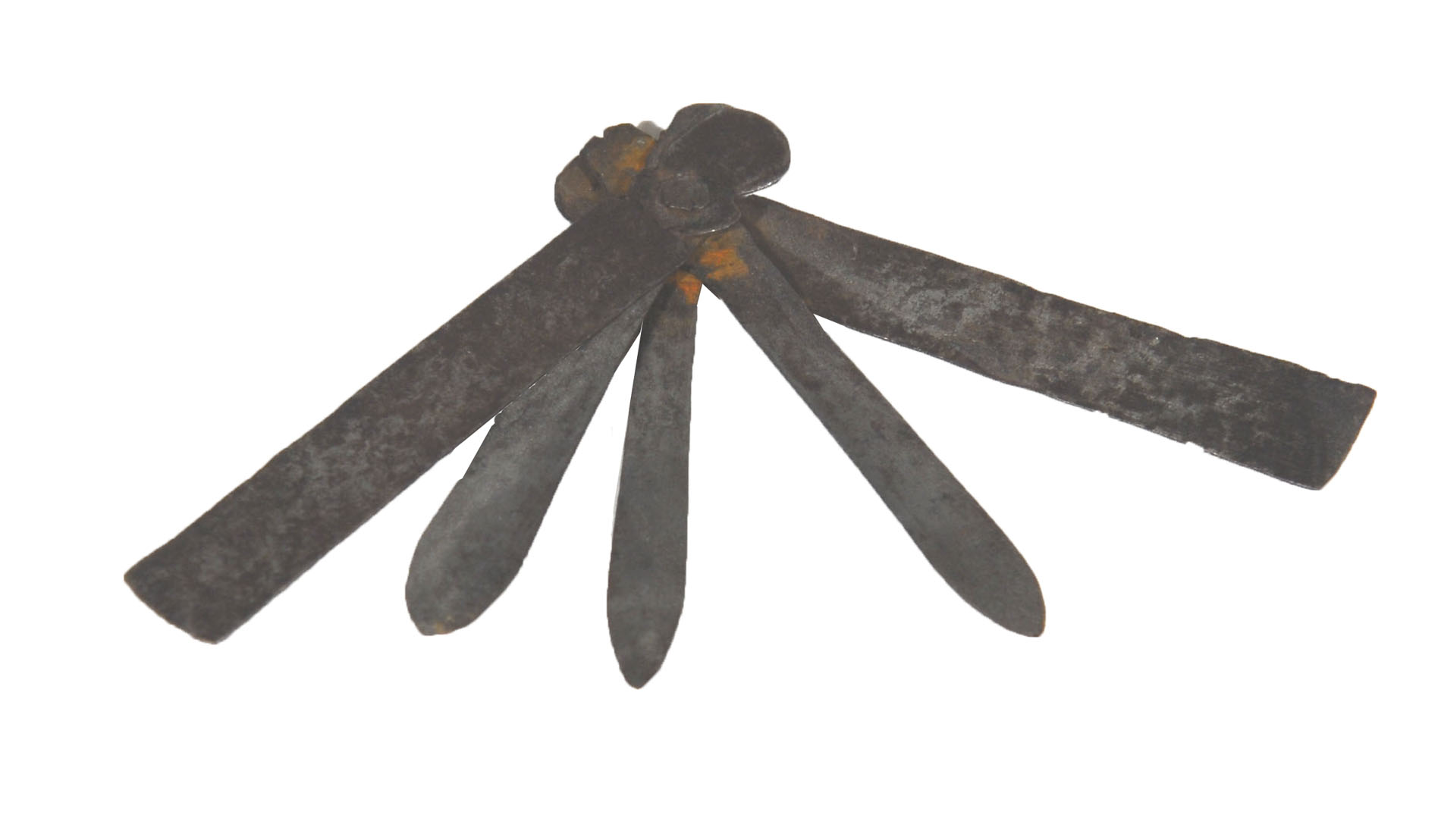 Magnified image for image #1