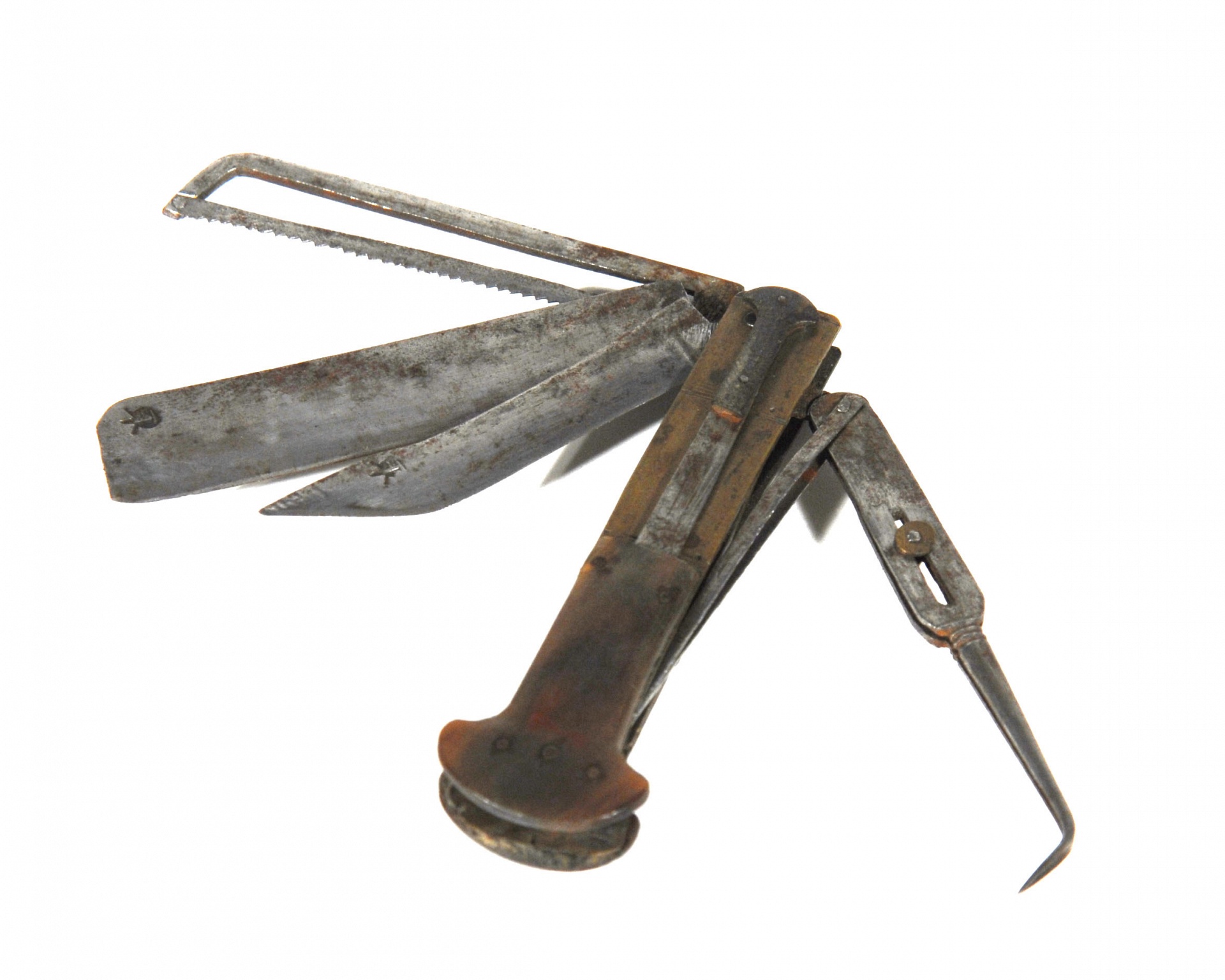 Magnified image for image #1