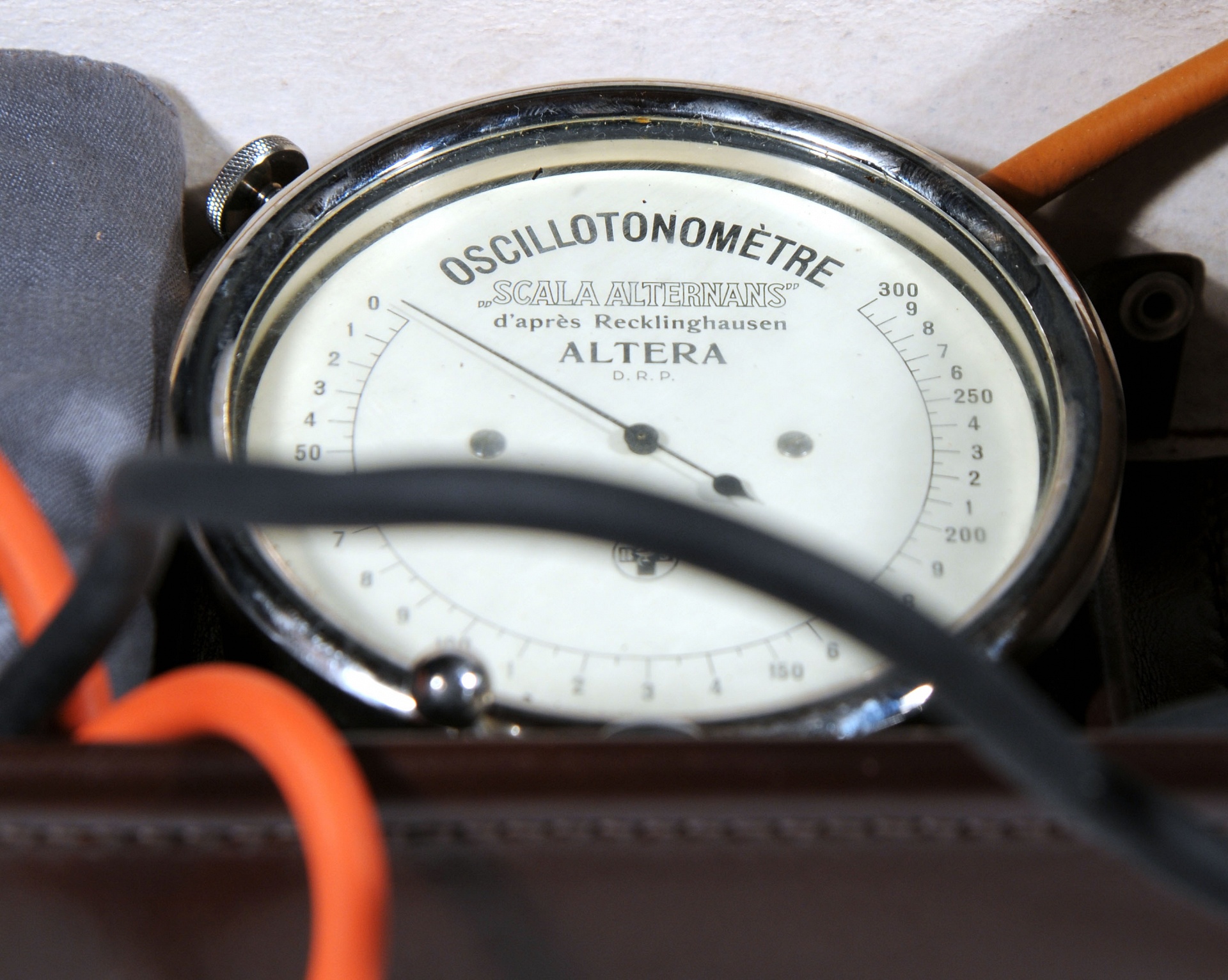 Magnified image for image #1