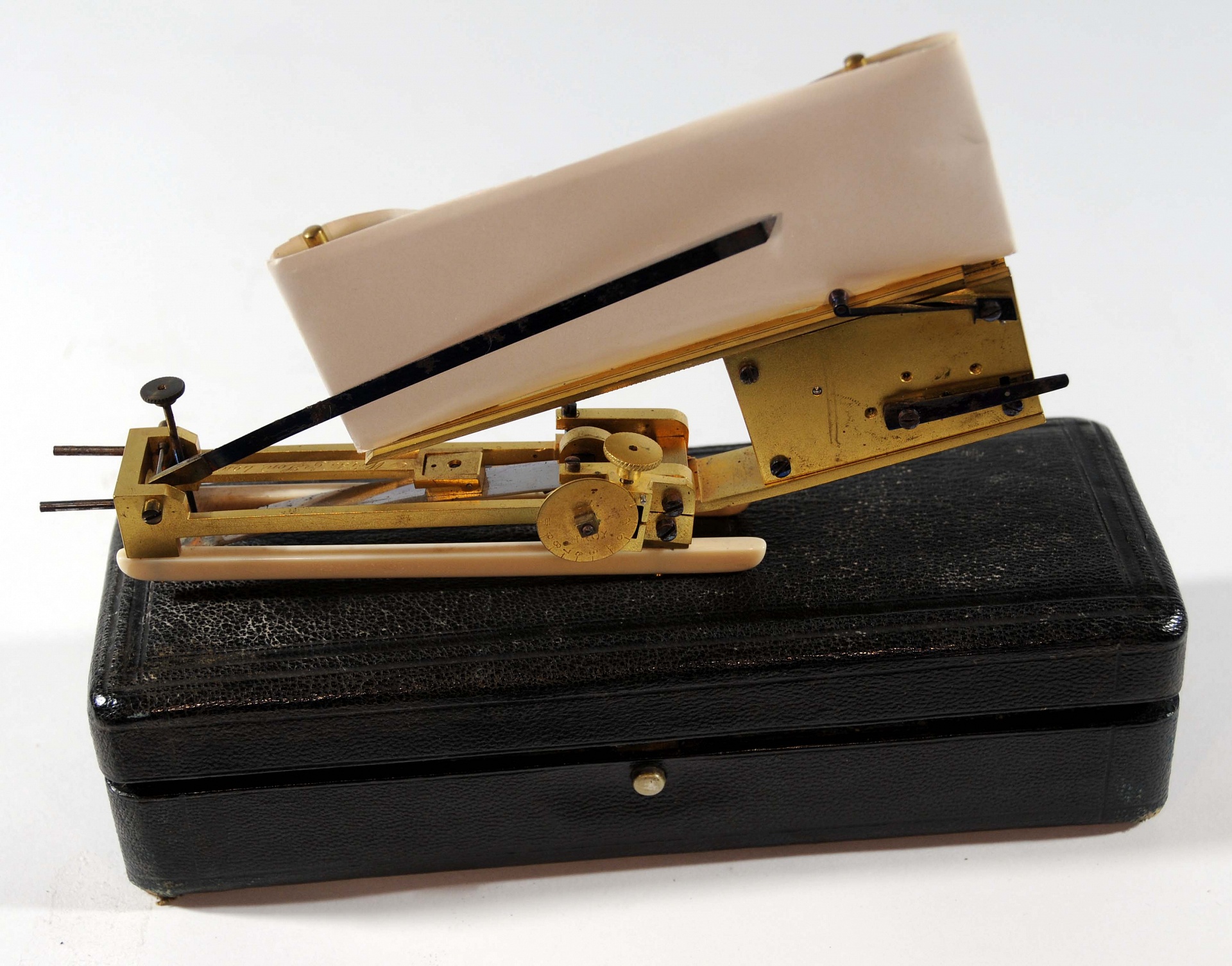 Magnified image for image #1