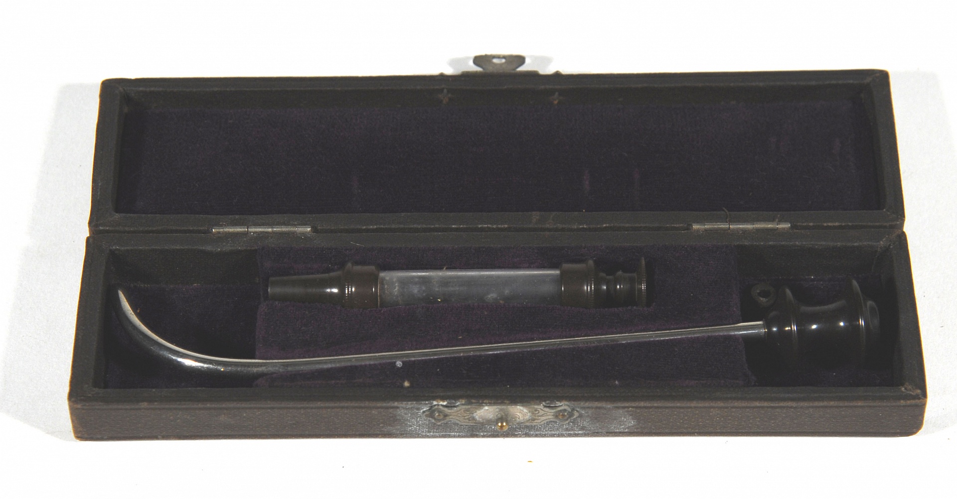 Magnified image for image #1