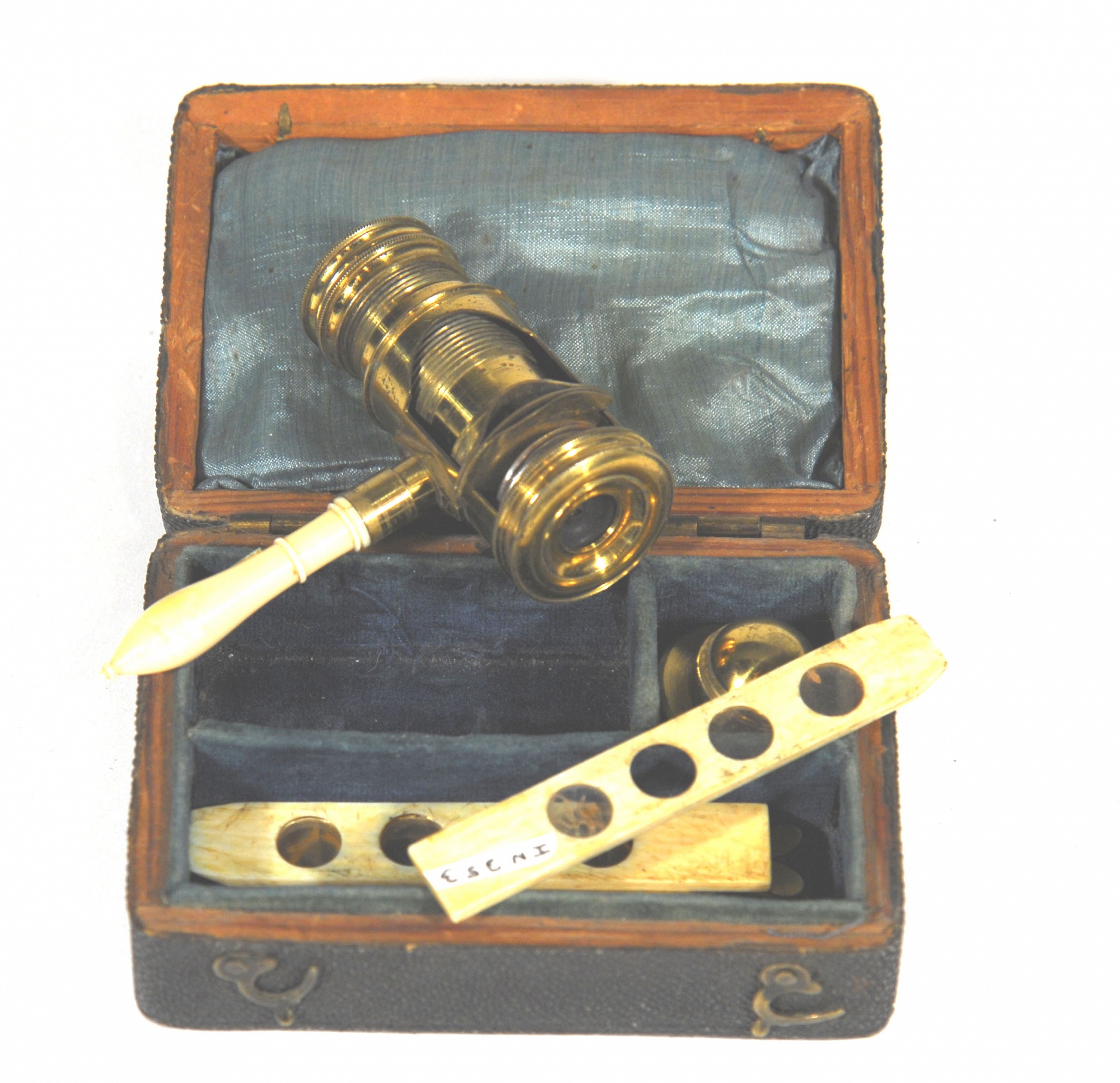 Magnified image for image #1