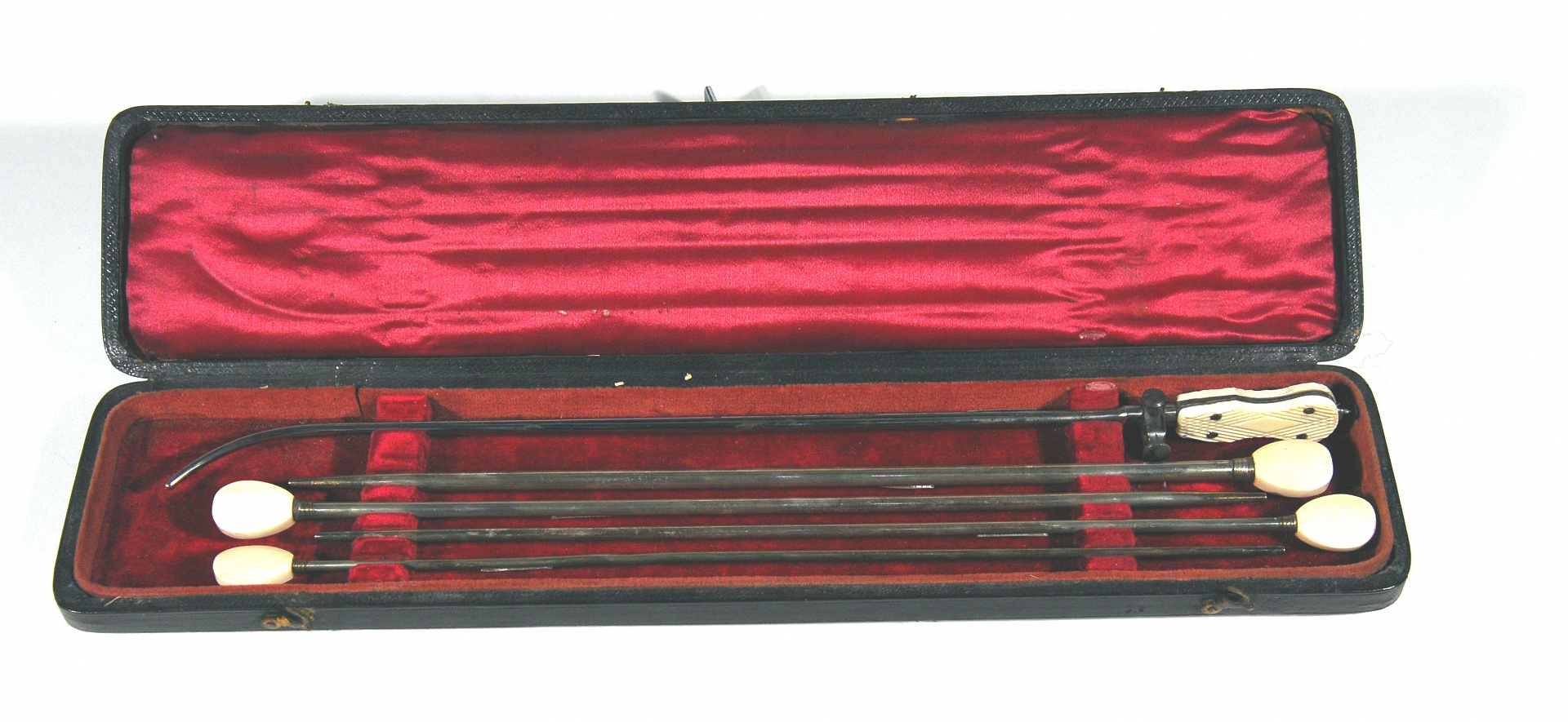 Magnified image for image #1