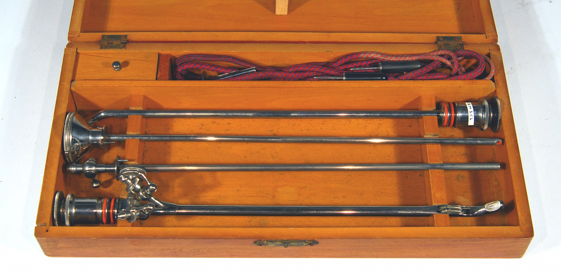 Magnified image for image #1