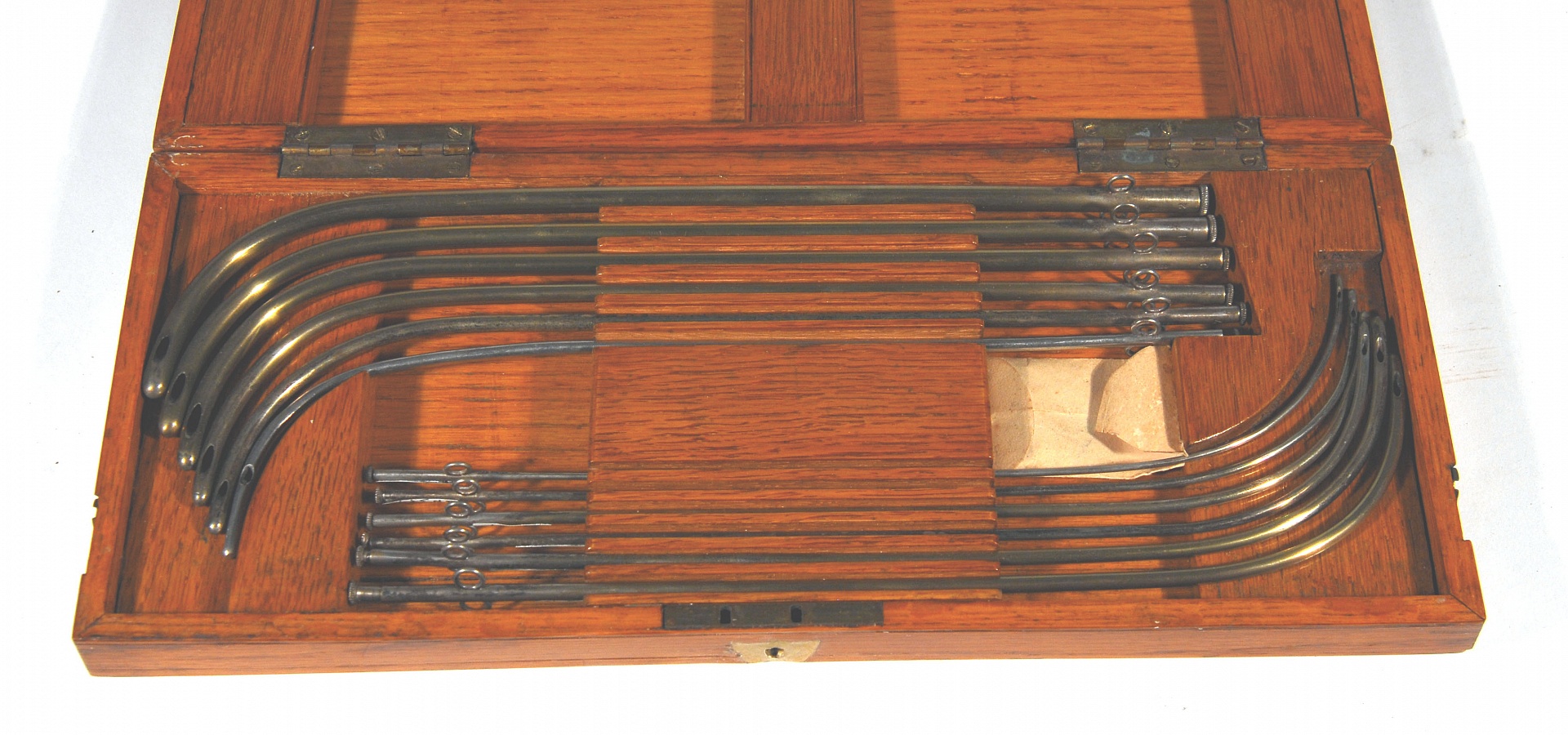 Magnified image for image #2