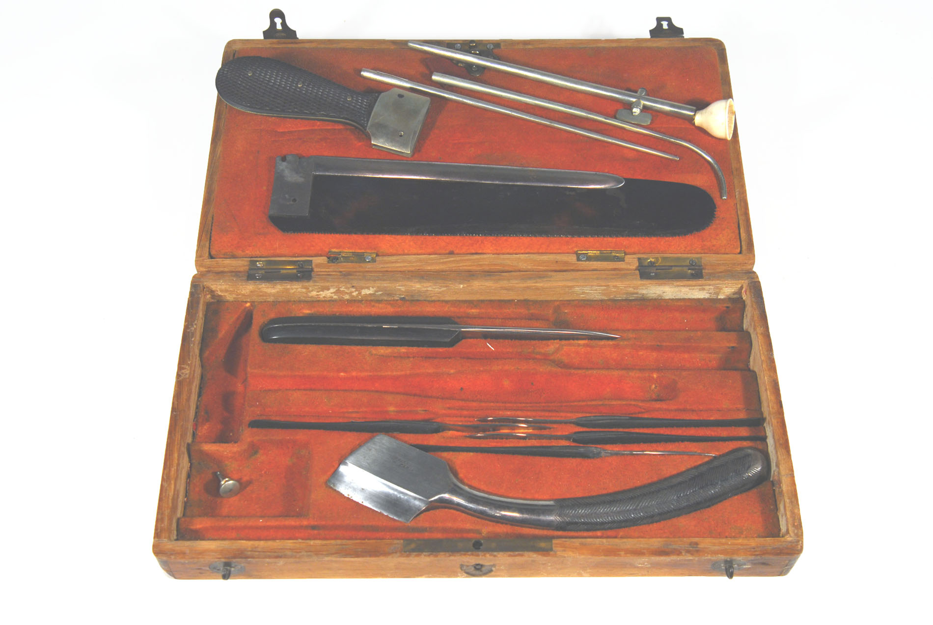 Magnified image for image #1