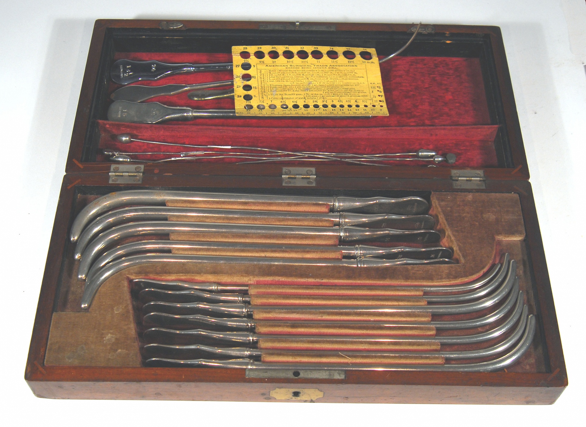 Magnified image for image #1