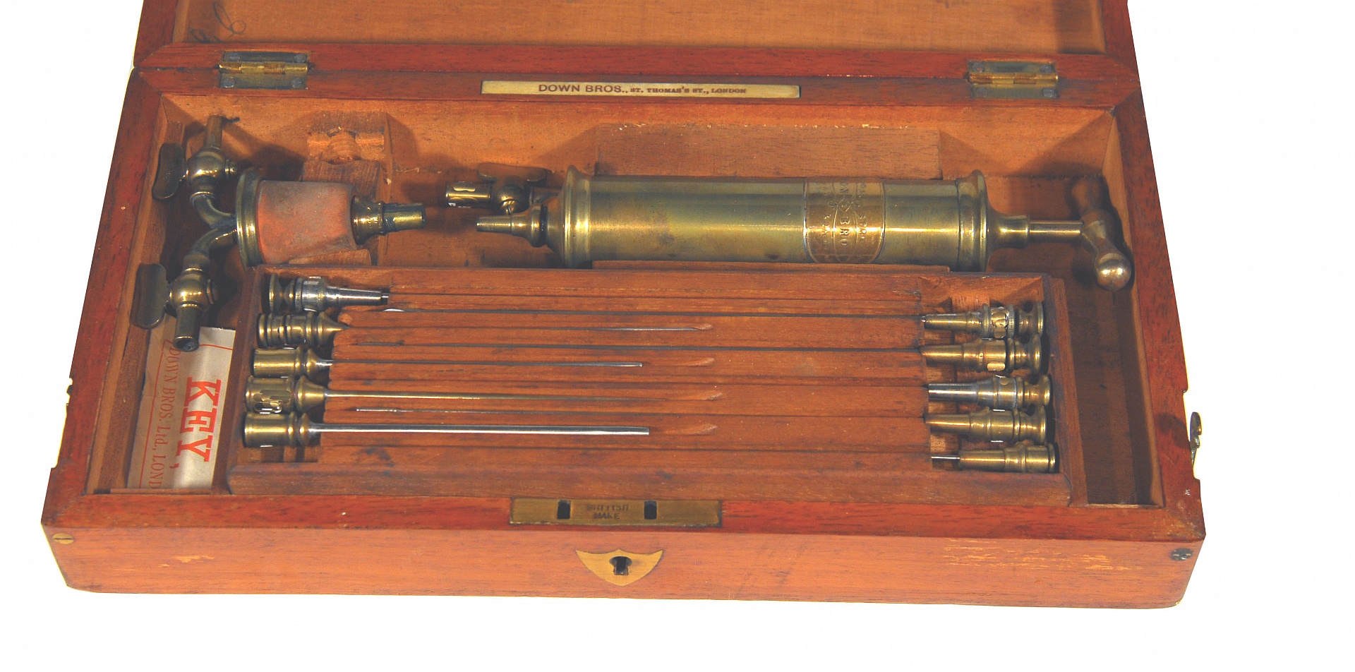 Magnified image for image #2