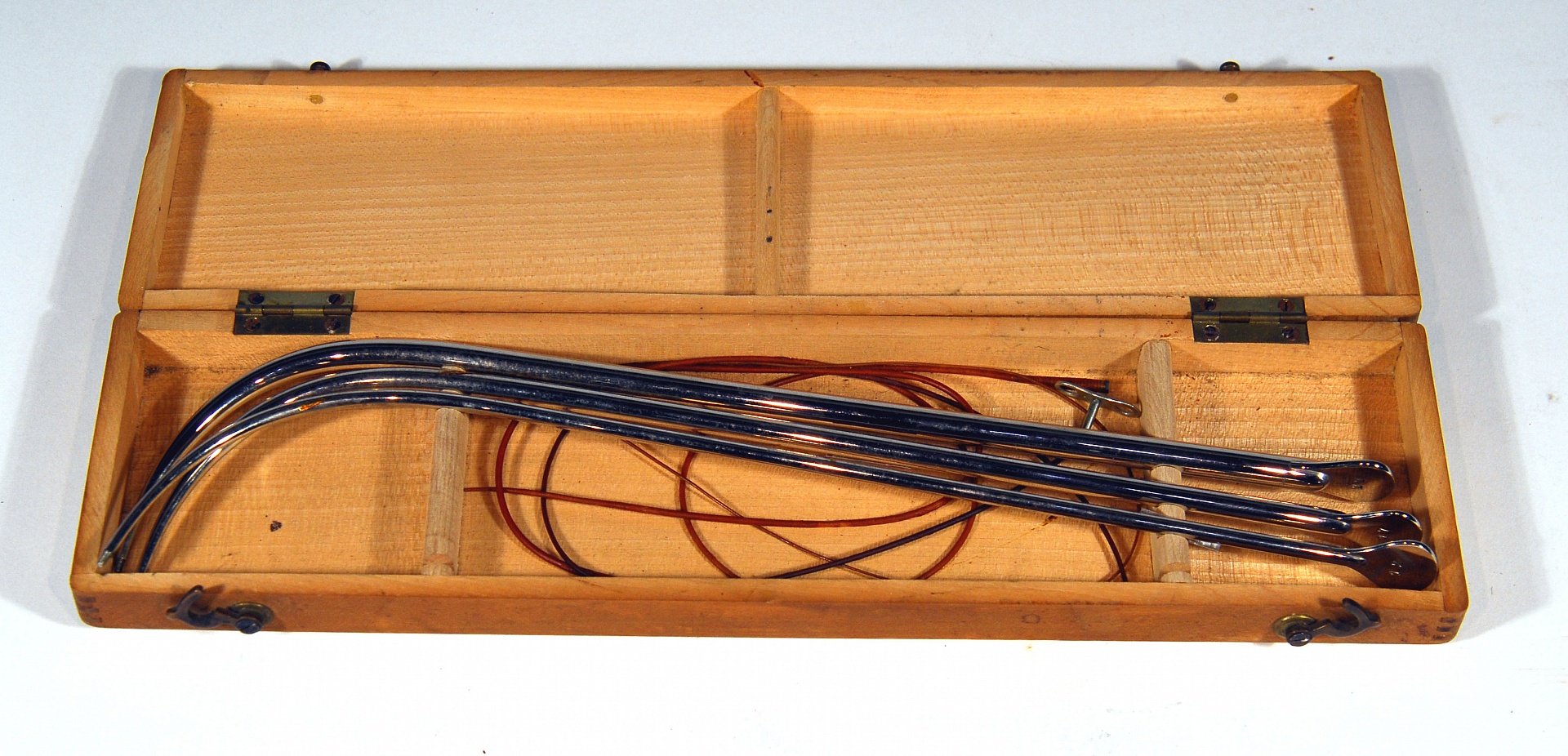 Magnified image for image #1