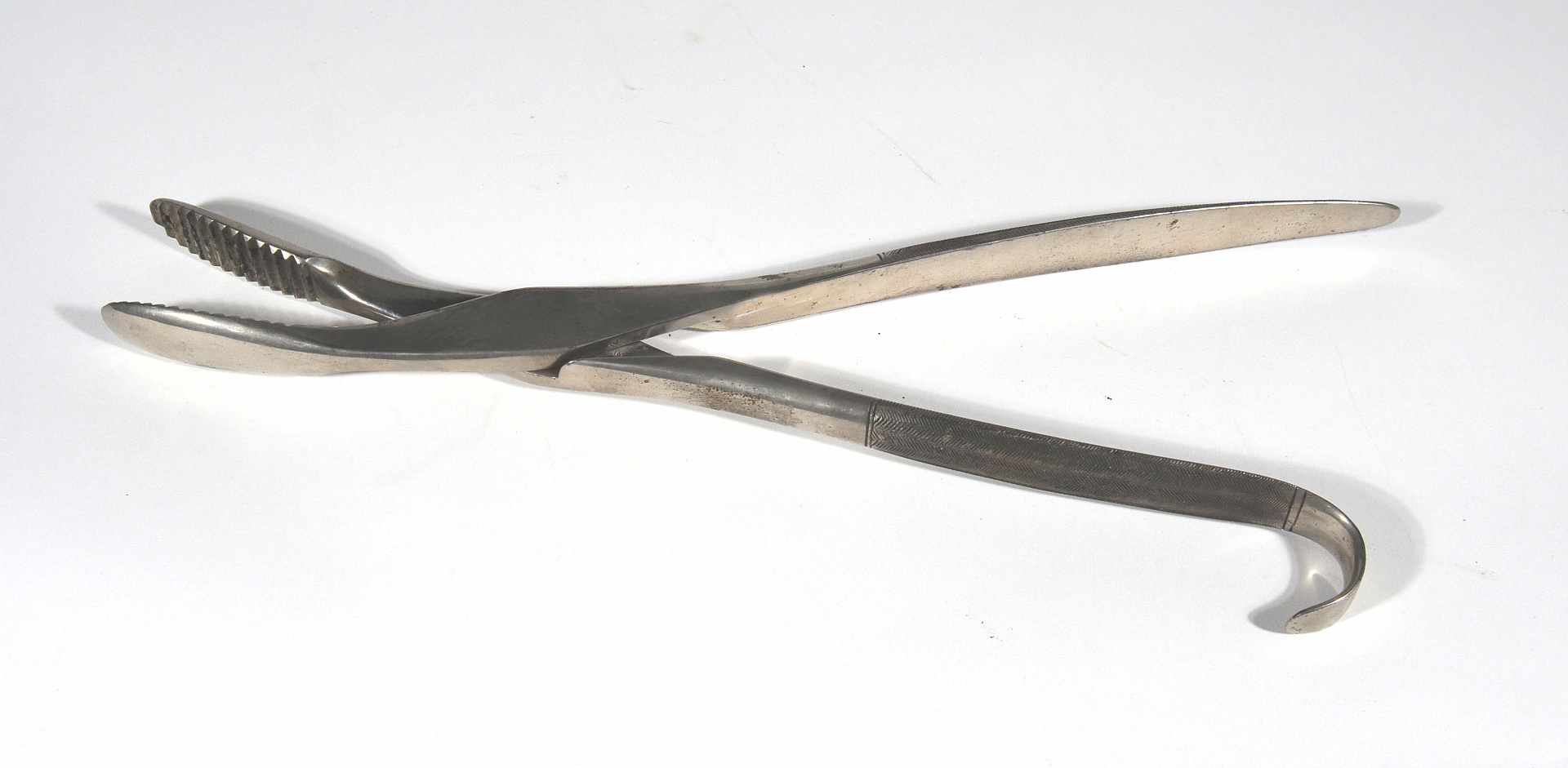 Magnified image for image #1