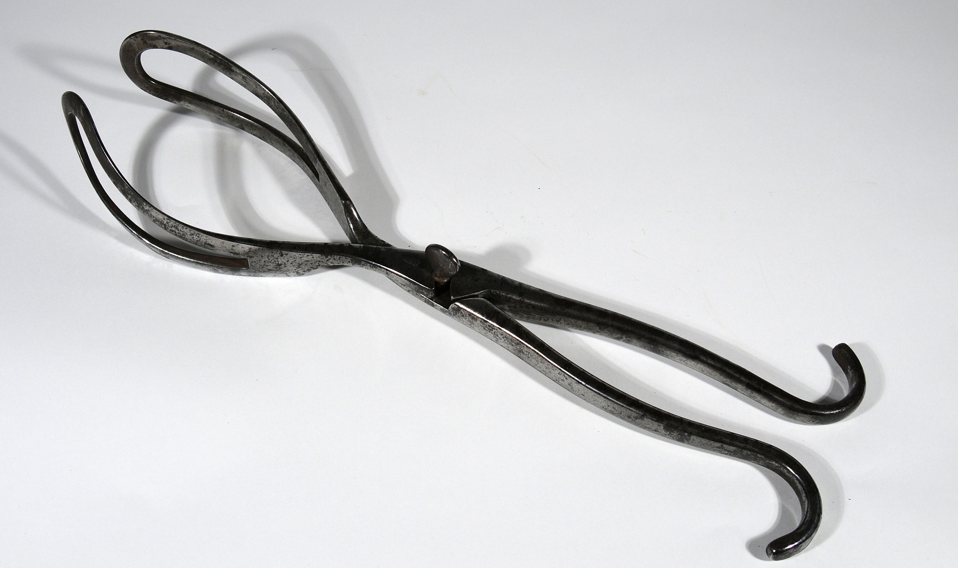 Magnified image for image #1