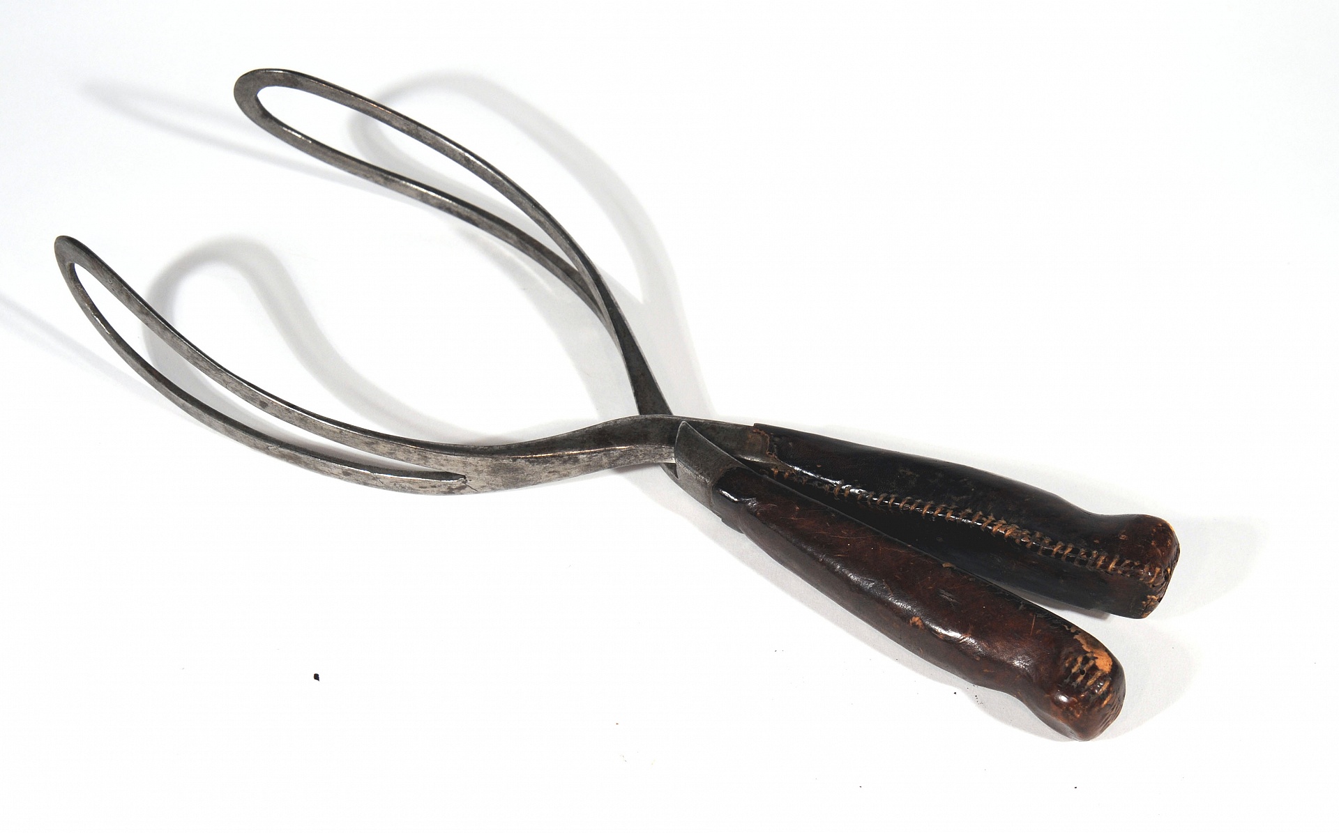 Magnified image for image #1