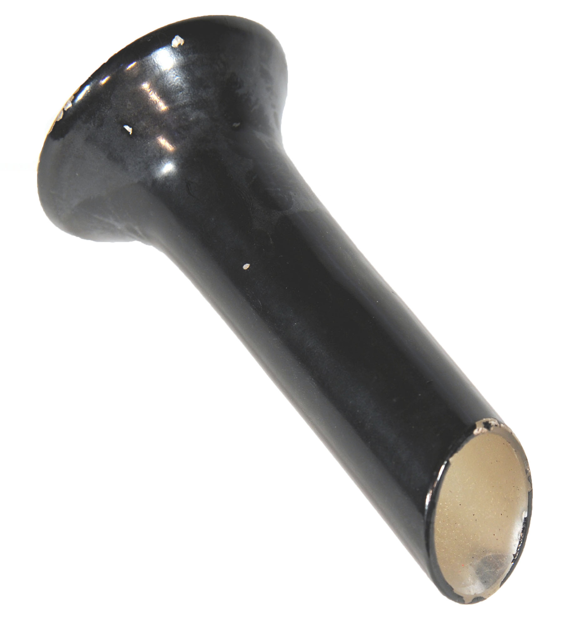 Magnified image for image #1