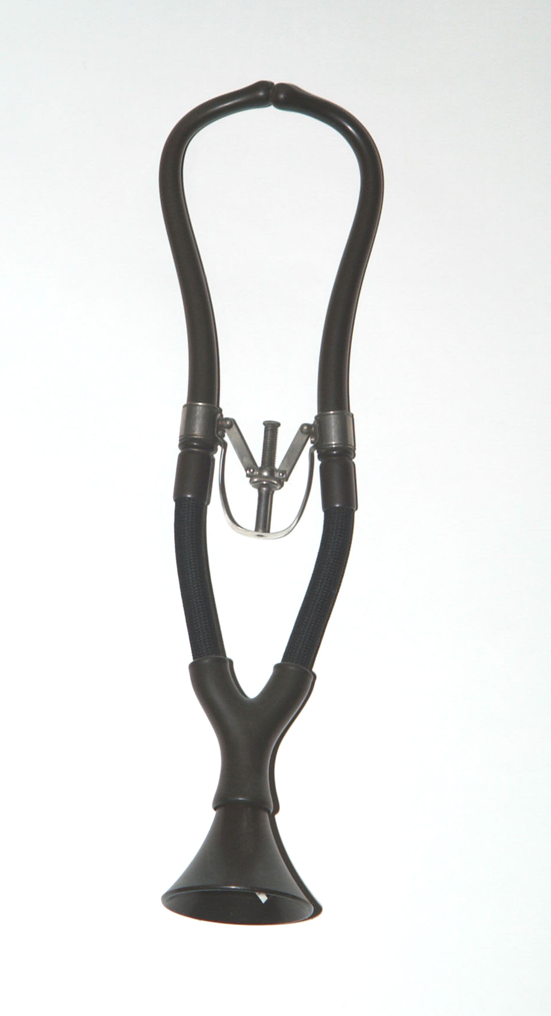 Magnified image for image #1