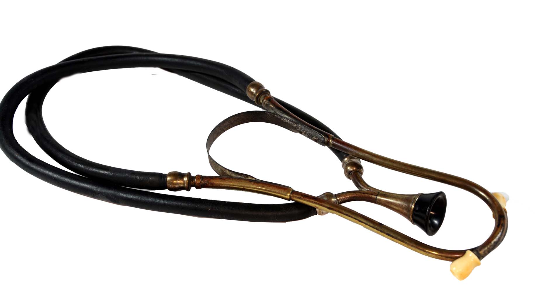 Magnified image for image #1