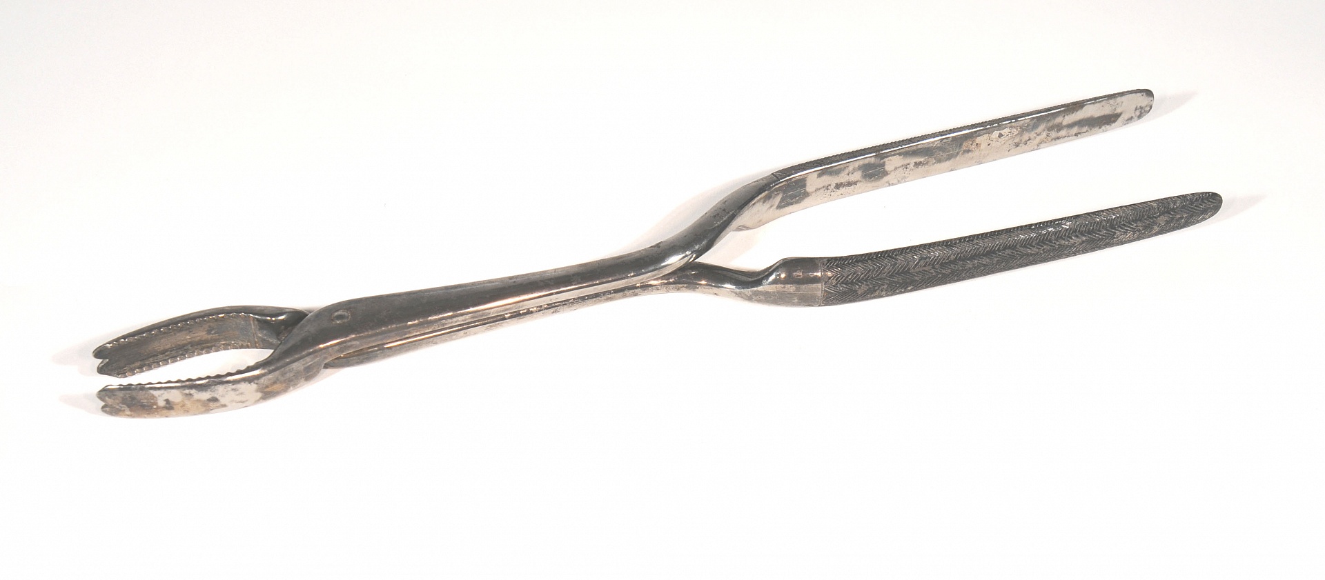 Magnified image for image #1