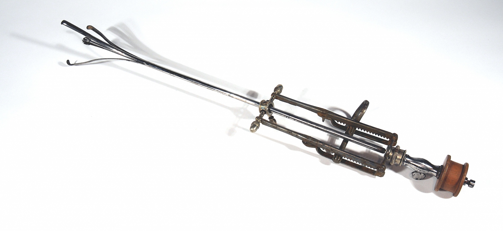 Magnified image for image #1