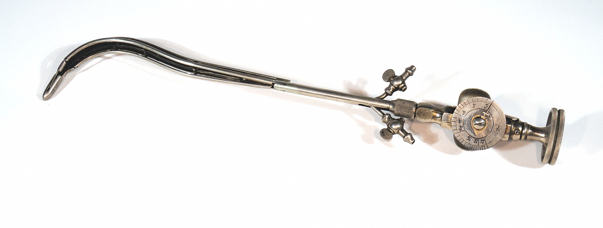 Magnified image for image #1