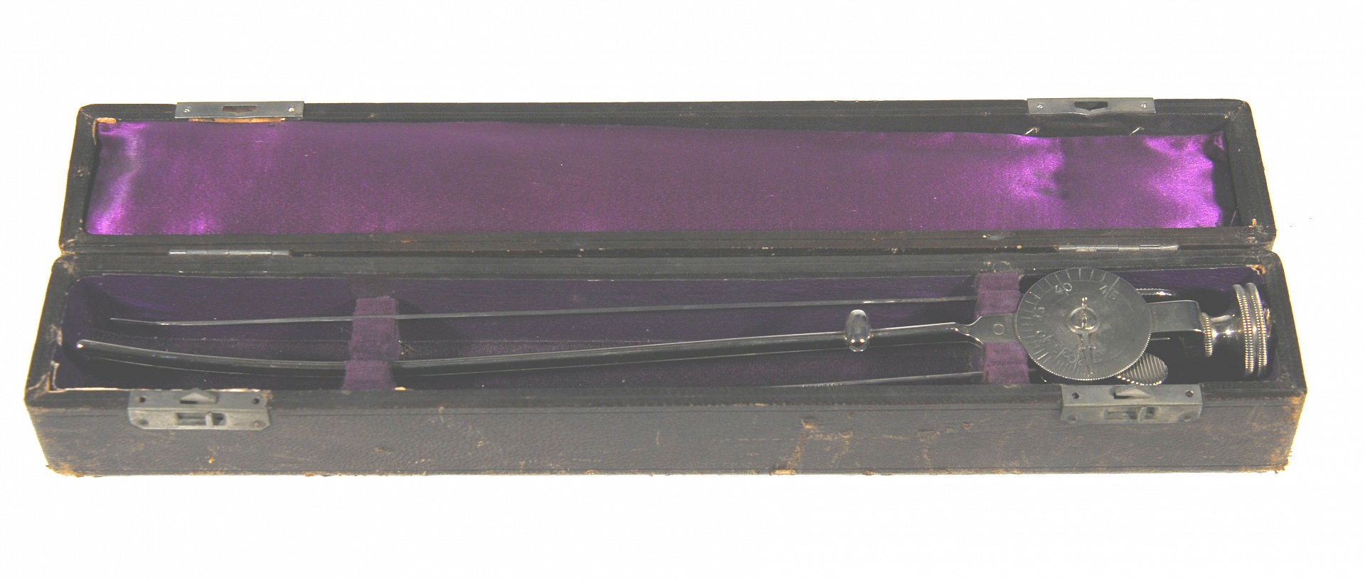 Magnified image for image #1