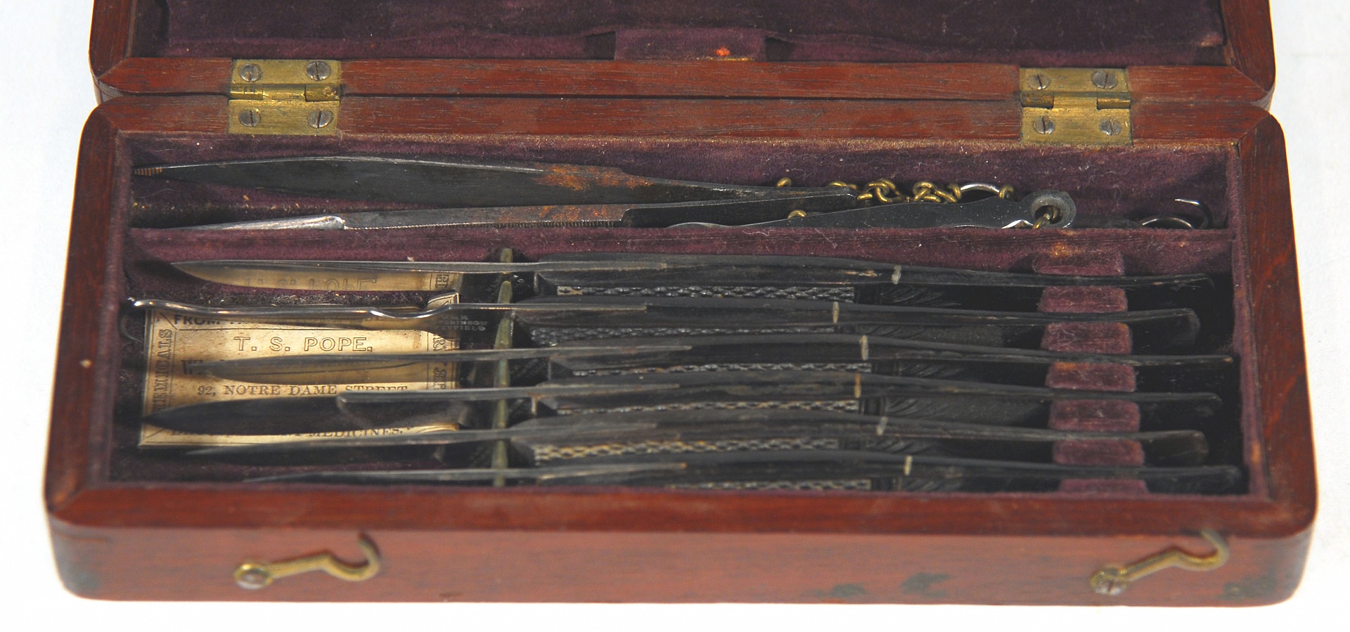 Magnified image for image #1