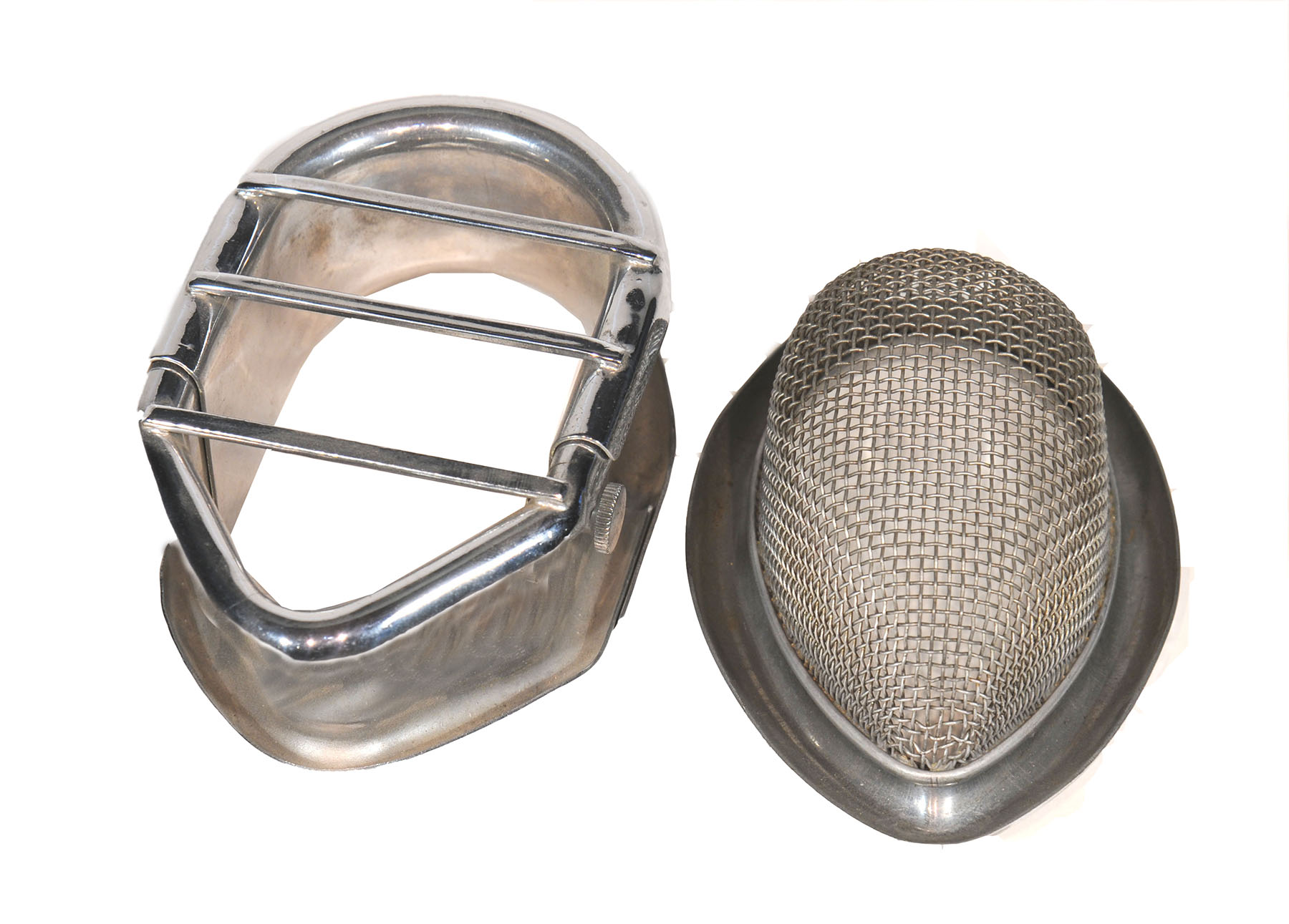 Magnified image for image #1