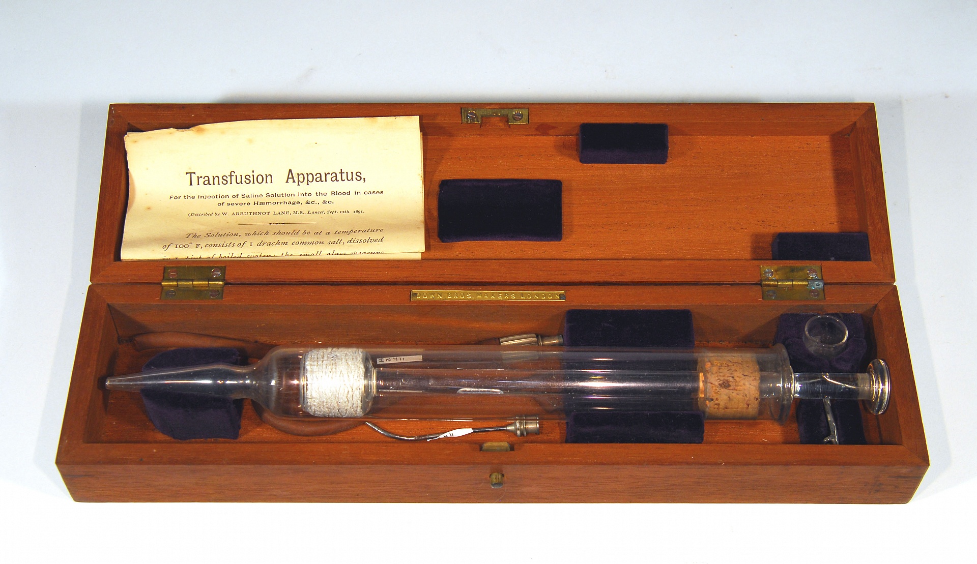 Magnified image for image #1